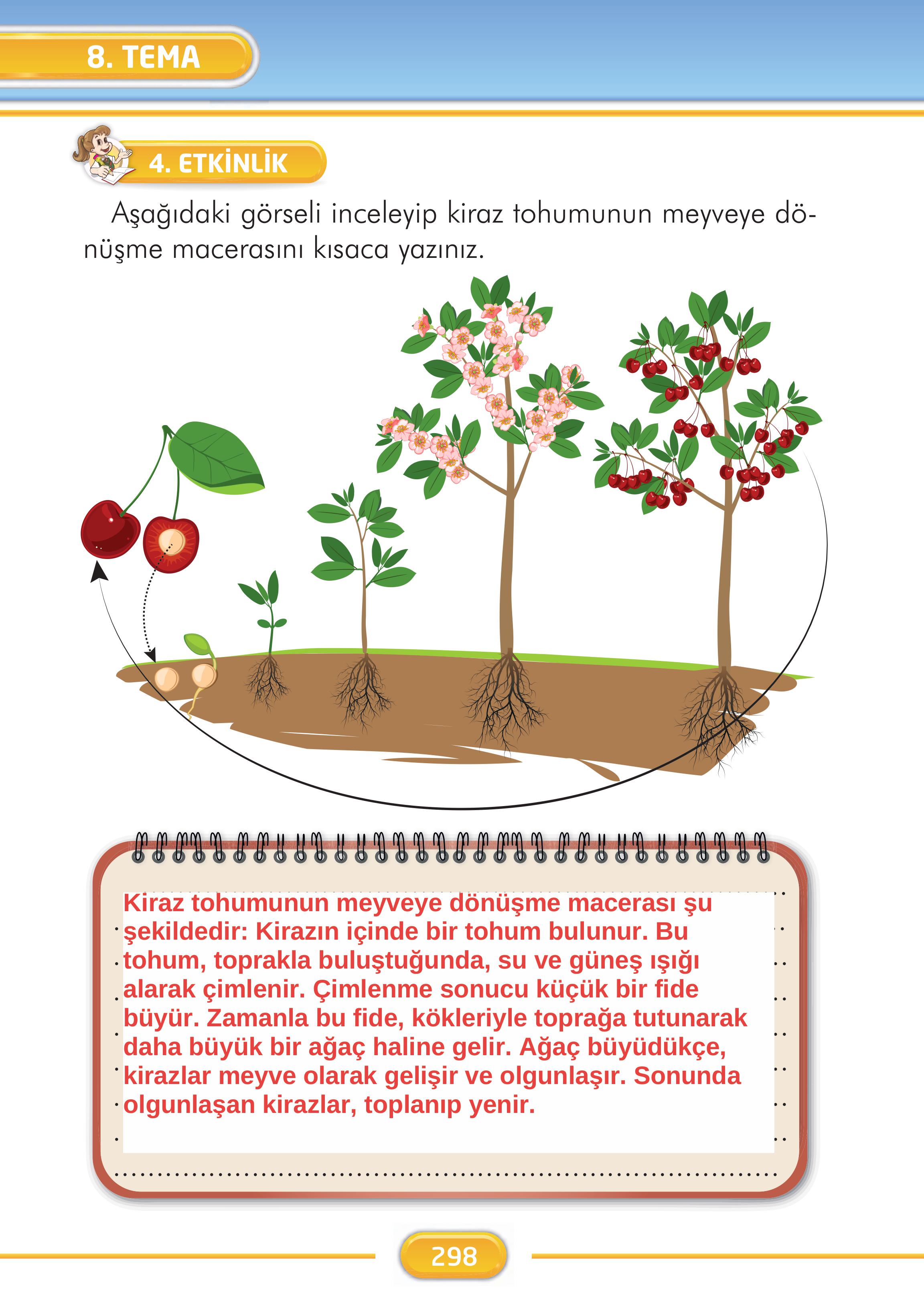 2. Sınıf Kare Yayınları Türkçe Ders Kitabı Sayfa 298 Cevapları 2. Sınıf Kare Yayınları Türkçe Ders Kitabı Sayfa 298 Cevapları