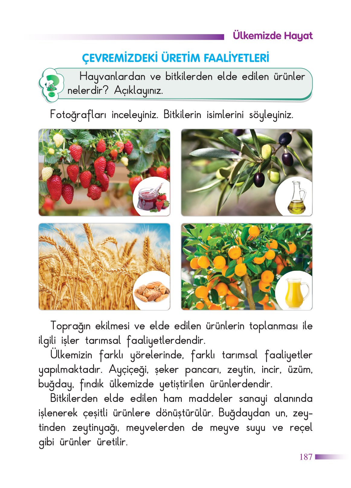 2. Sınıf Sdr Yayıncılık Hayat Bilgisi Ders Kitabı Sayfa 188 Cevapları 2. Sınıf Sdr Yayıncılık Hayat Bilgisi Ders Kitabı Sayfa 188 Cevapları
