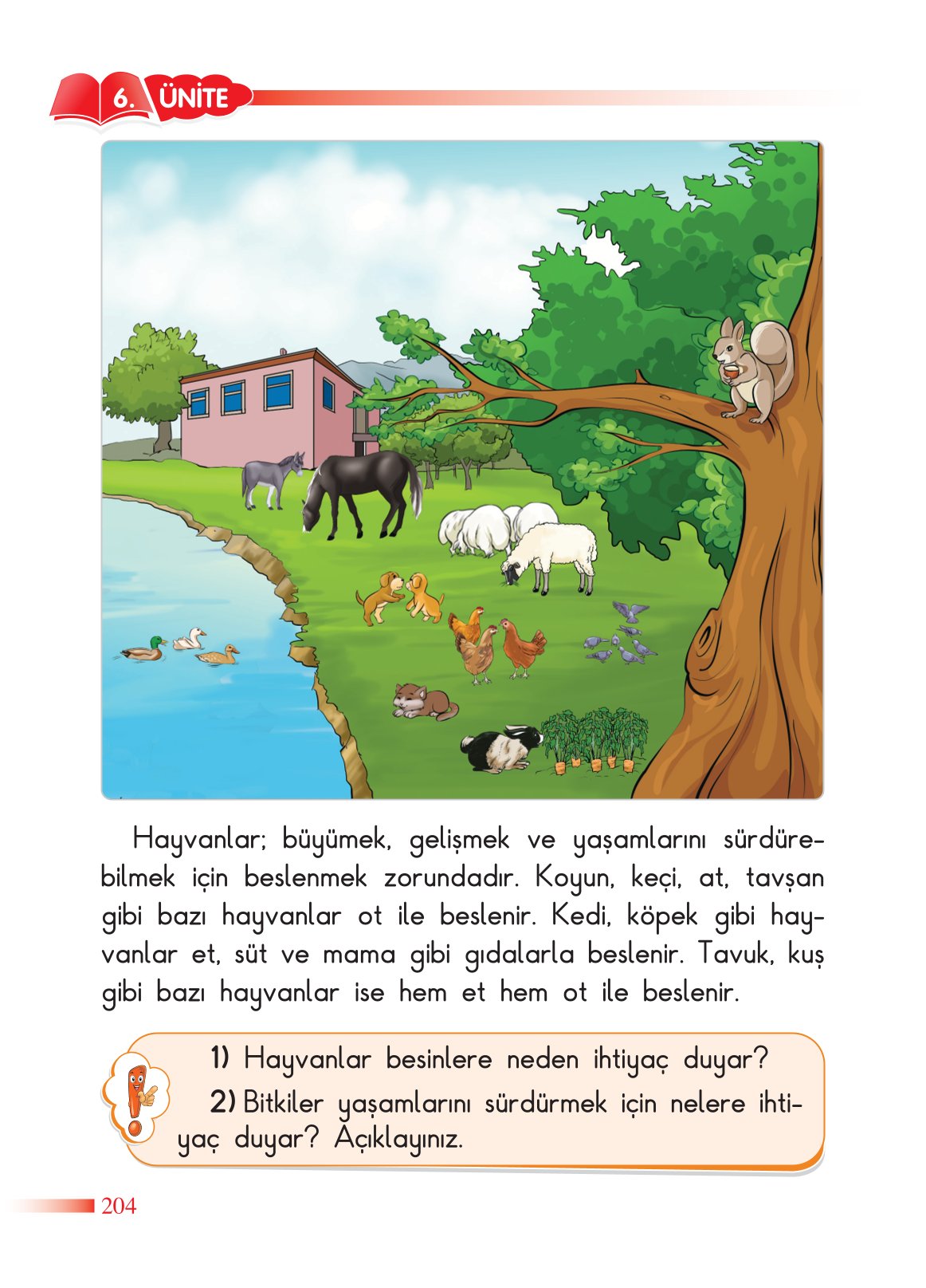 2. Sınıf Sdr Yayıncılık Hayat Bilgisi Ders Kitabı Sayfa 205 Cevapları 2. Sınıf Sdr Yayıncılık Hayat Bilgisi Ders Kitabı Sayfa 205 Cevapları