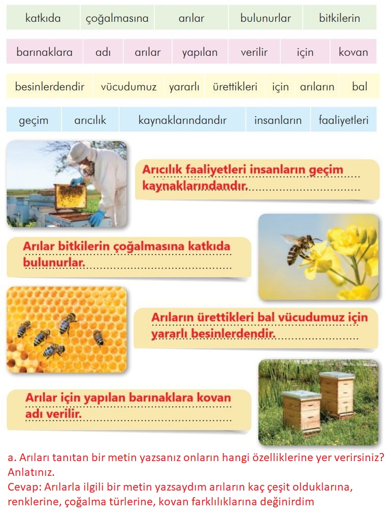 3. Sınıf İlke Yayınları Türkçe Ders Kitabı Sayfa 271 Cevapları 3. Sınıf İlke Yayınları Türkçe Ders Kitabı Sayfa 271 Cevapları