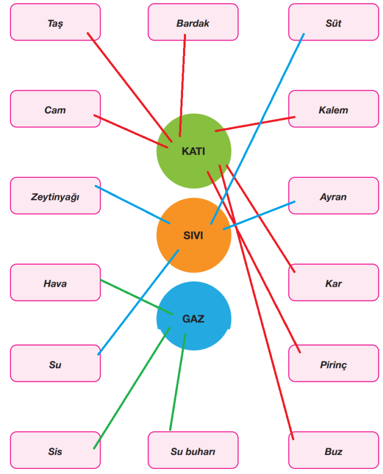 4. Sınıf Pasifik Yayınları Fen Bilimleri Ders Kitabı Sayfa 139 Cevapları