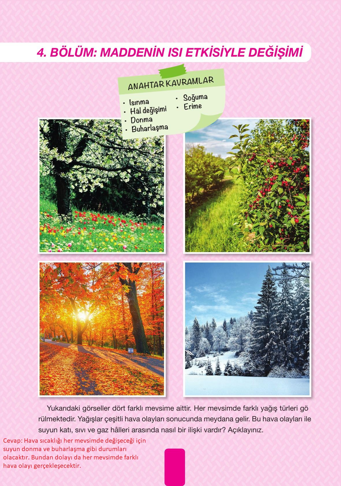 4. Sınıf Pasifik Yayınları Fen Bilimleri Ders Kitabı Sayfa 140 Cevapları