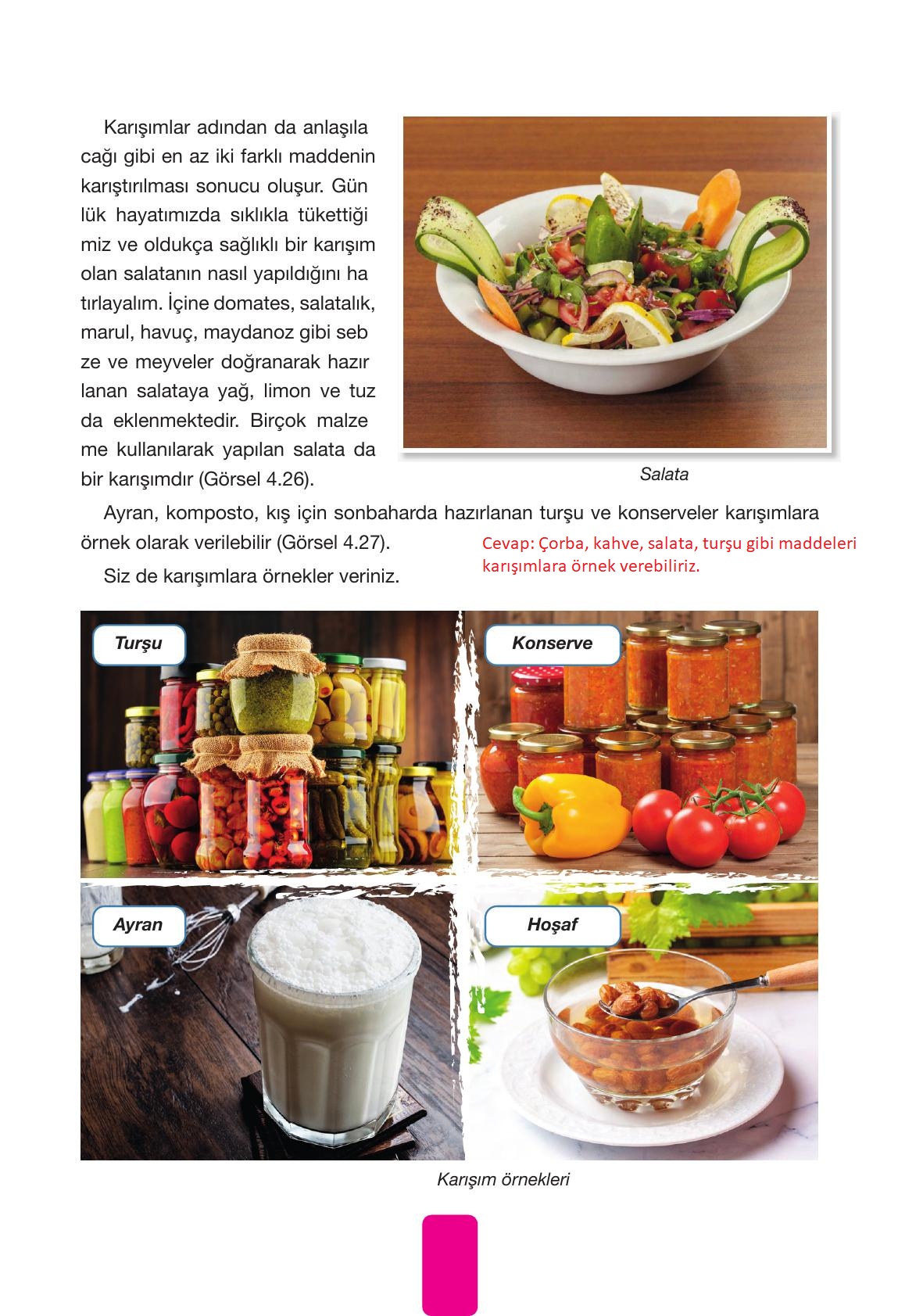 4. Sınıf Pasifik Yayınları Fen Bilimleri Ders Kitabı Sayfa 149 Cevapları