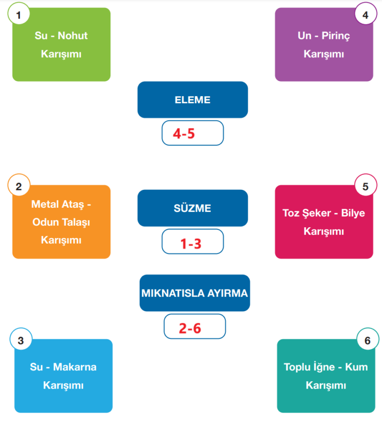 4. Sınıf Pasifik Yayınları Fen Bilimleri Ders Kitabı Sayfa 155 Cevapları