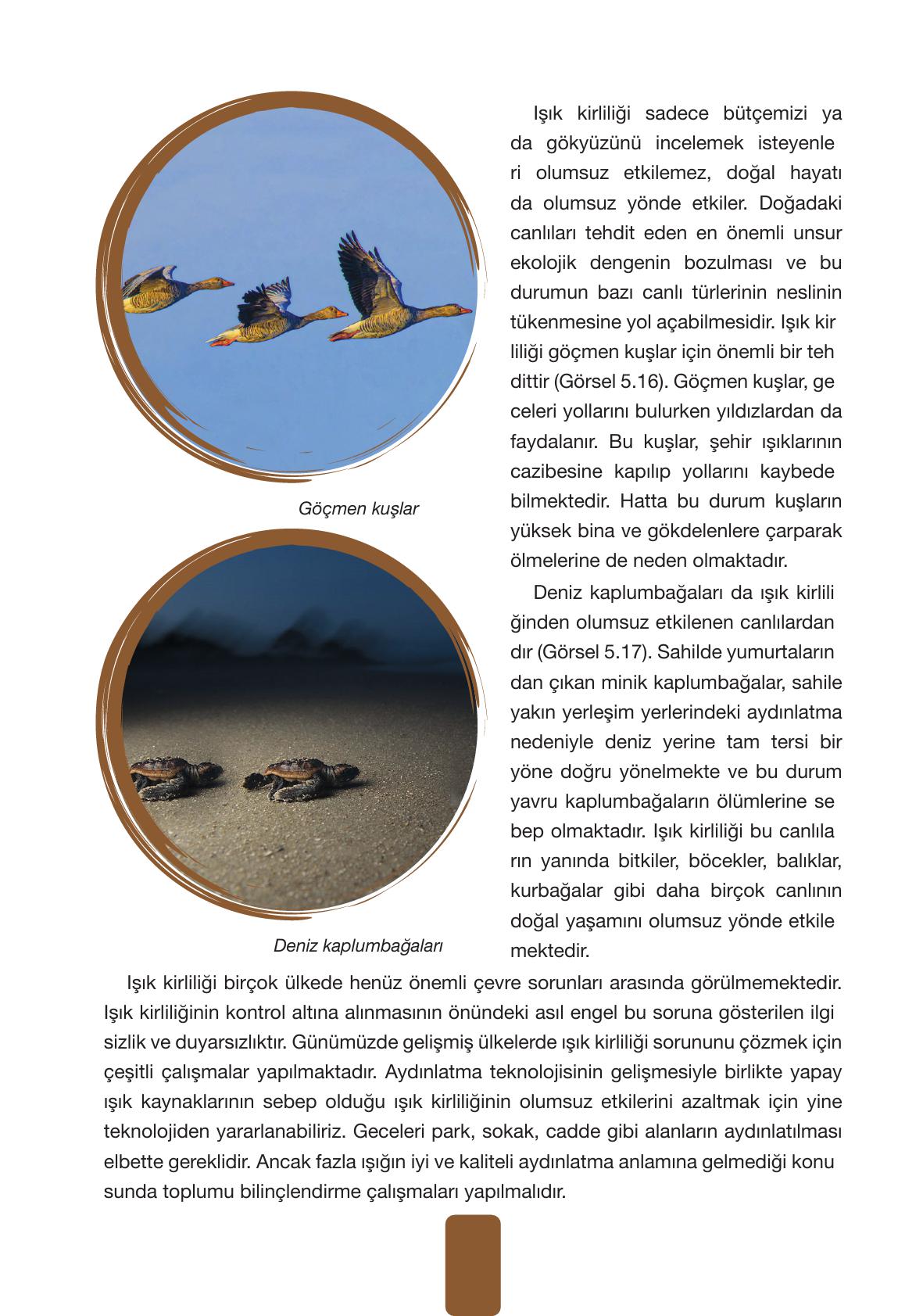 4. Sınıf Pasifik Yayınları Fen Bilimleri Ders Kitabı Sayfa 184 Cevapları