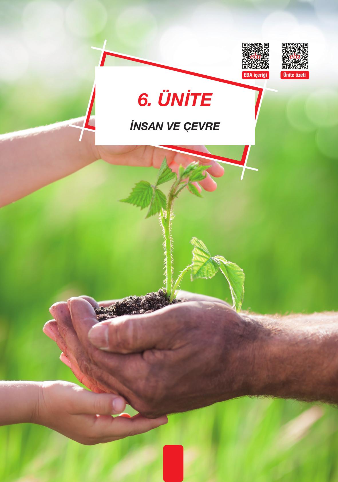 4. Sınıf Pasifik Yayınları Fen Bilimleri Ders Kitabı Sayfa 210 Cevapları