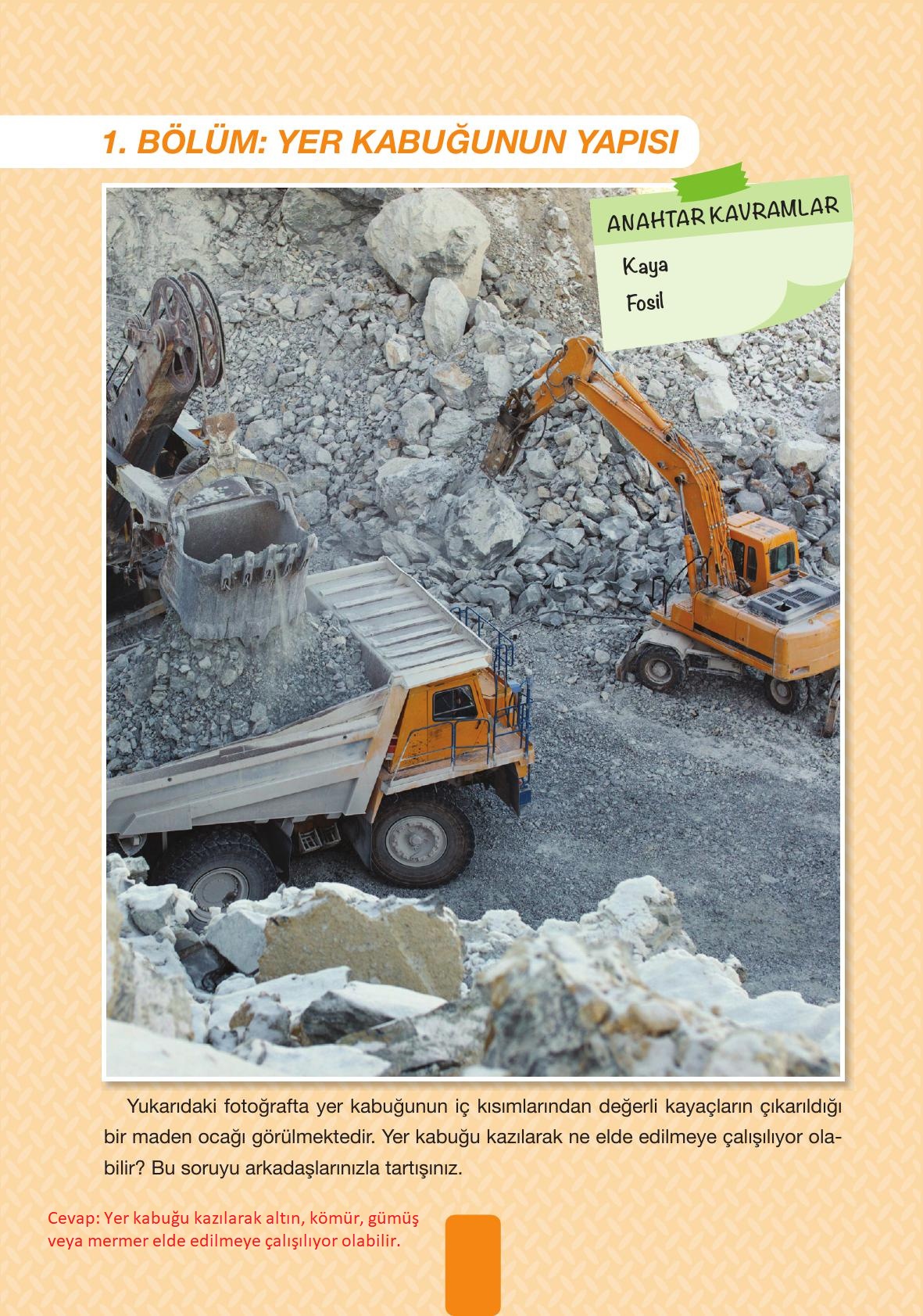 4. Sınıf Pasifik Yayınları Fen Bilimleri Ders Kitabı Sayfa 24 Cevapları 4. Sınıf Pasifik Yayınları Fen Bilimleri Ders Kitabı Sayfa 24 Cevapları