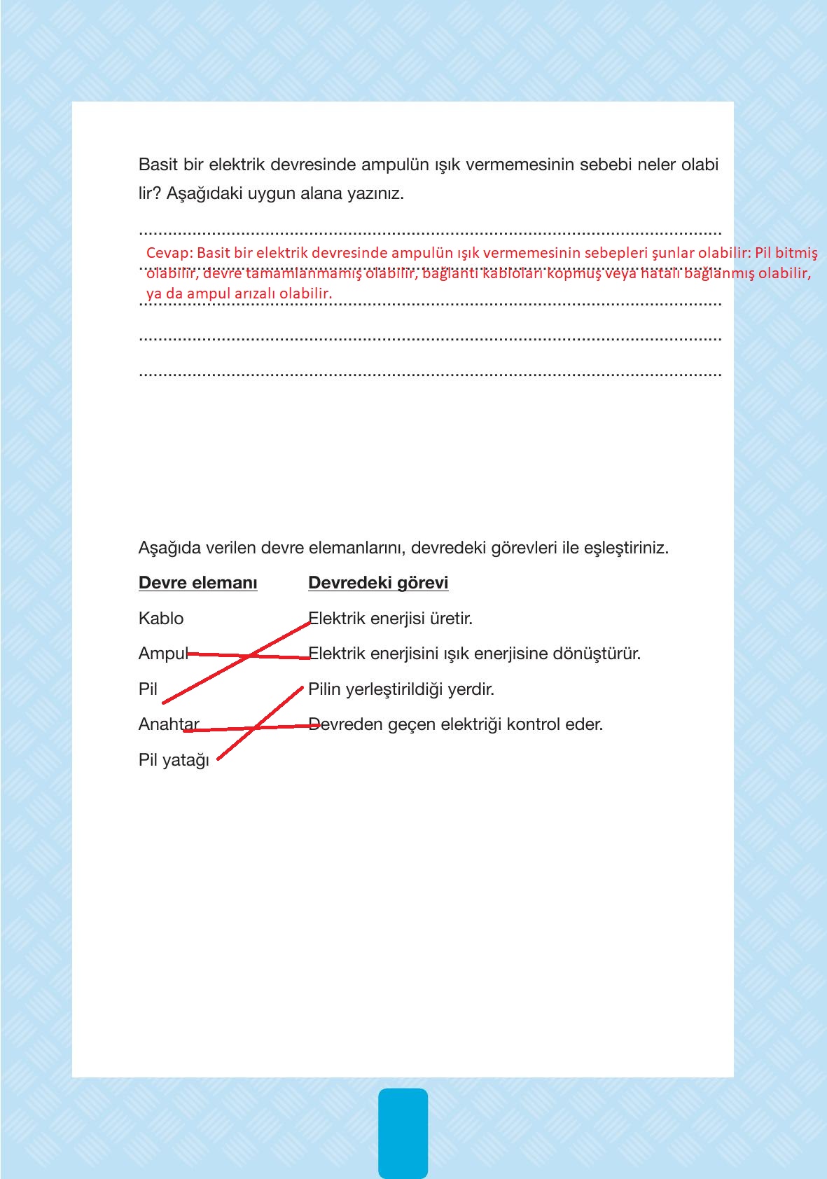 4. Sınıf Pasifik Yayınları Fen Bilimleri Ders Kitabı Sayfa 243 Cevapları 4. Sınıf Pasifik Yayınları Fen Bilimleri Ders Kitabı Sayfa 243 Cevapları