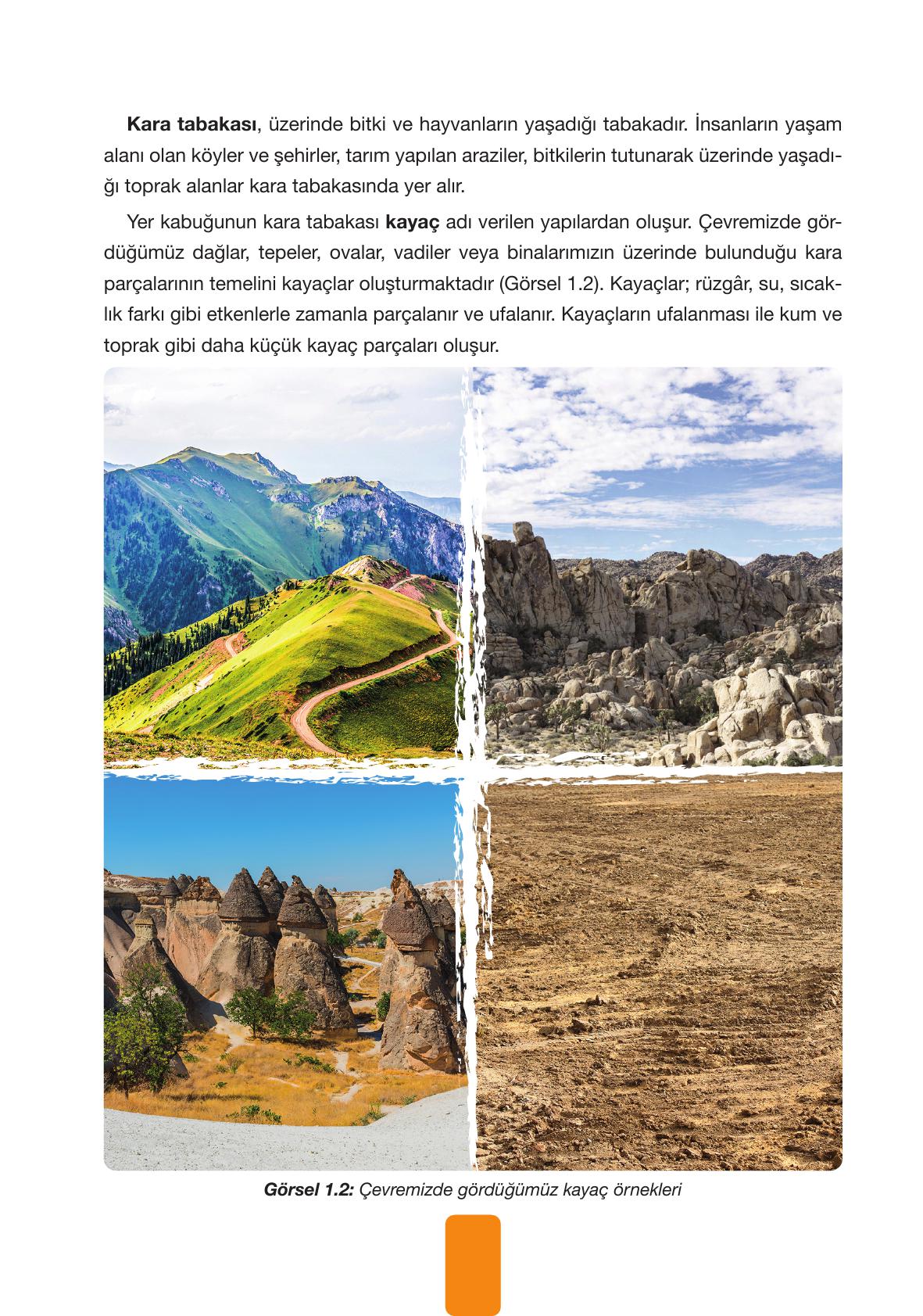 4. Sınıf Pasifik Yayınları Fen Bilimleri Ders Kitabı Sayfa 26 Cevapları 4. Sınıf Pasifik Yayınları Fen Bilimleri Ders Kitabı Sayfa 26 Cevapları