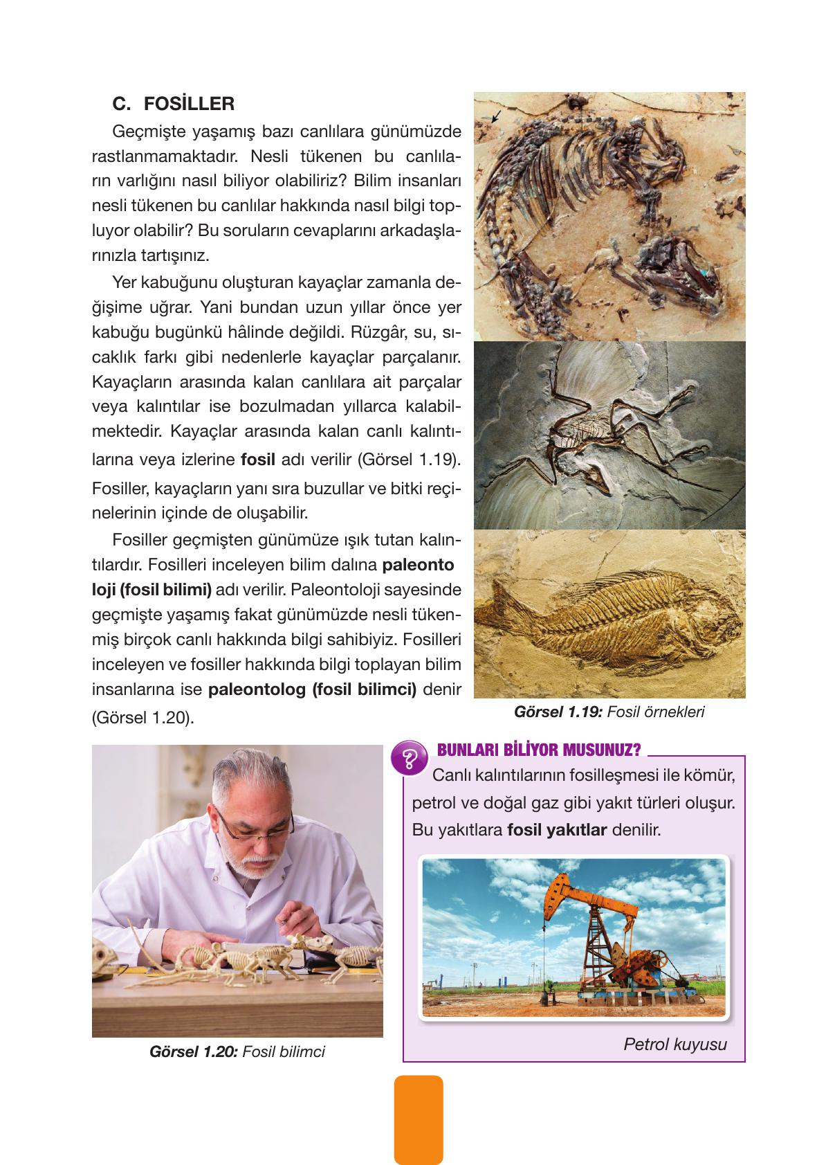 4. Sınıf Pasifik Yayınları Fen Bilimleri Ders Kitabı Sayfa 34 Cevapları 4. Sınıf Pasifik Yayınları Fen Bilimleri Ders Kitabı Sayfa 34 Cevapları