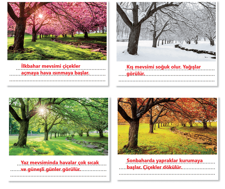 4. Sınıf Pasifik Yayınları Fen Bilimleri Ders Kitabı Sayfa 46 Cevapları 4. Sınıf Pasifik Yayınları Fen Bilimleri Ders Kitabı Sayfa 46 Cevapları