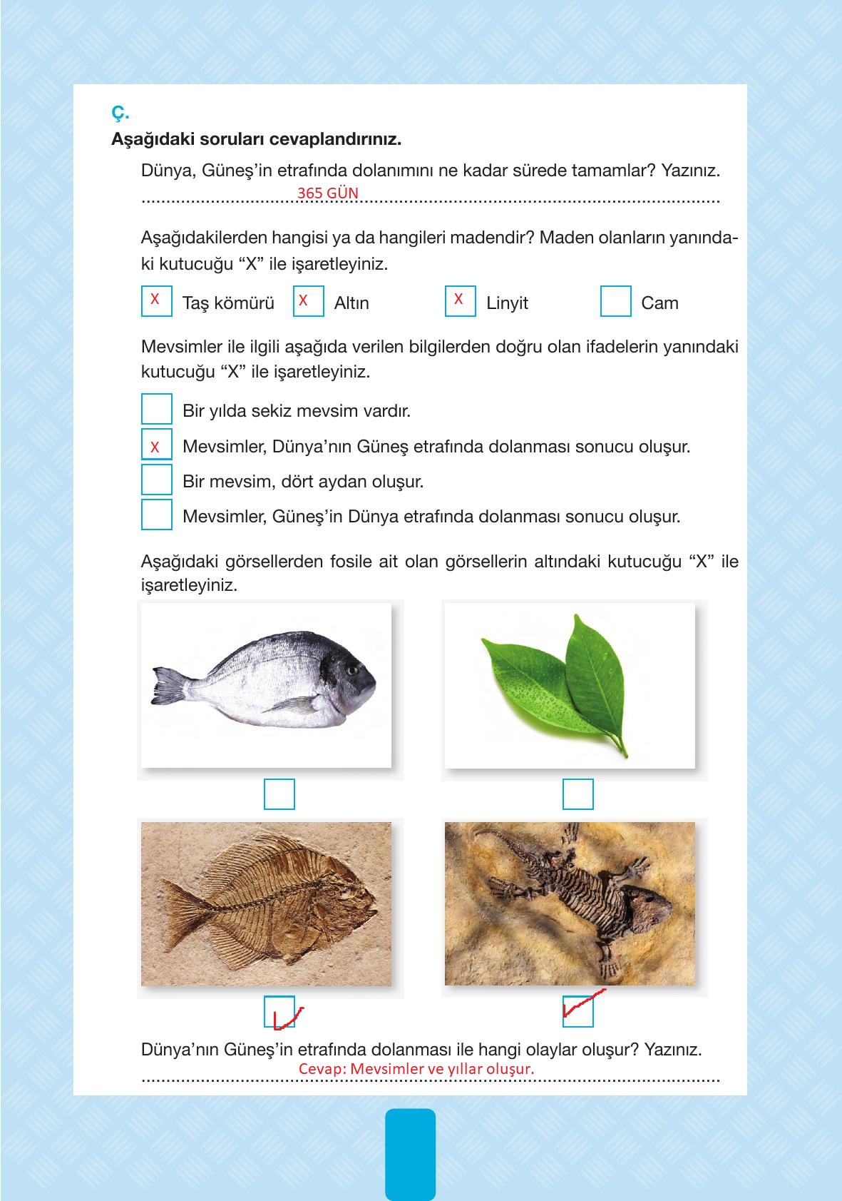 4. Sınıf Pasifik Yayınları Fen Bilimleri Ders Kitabı Sayfa 53 Cevapları 4. Sınıf Pasifik Yayınları Fen Bilimleri Ders Kitabı Sayfa 53 Cevapları