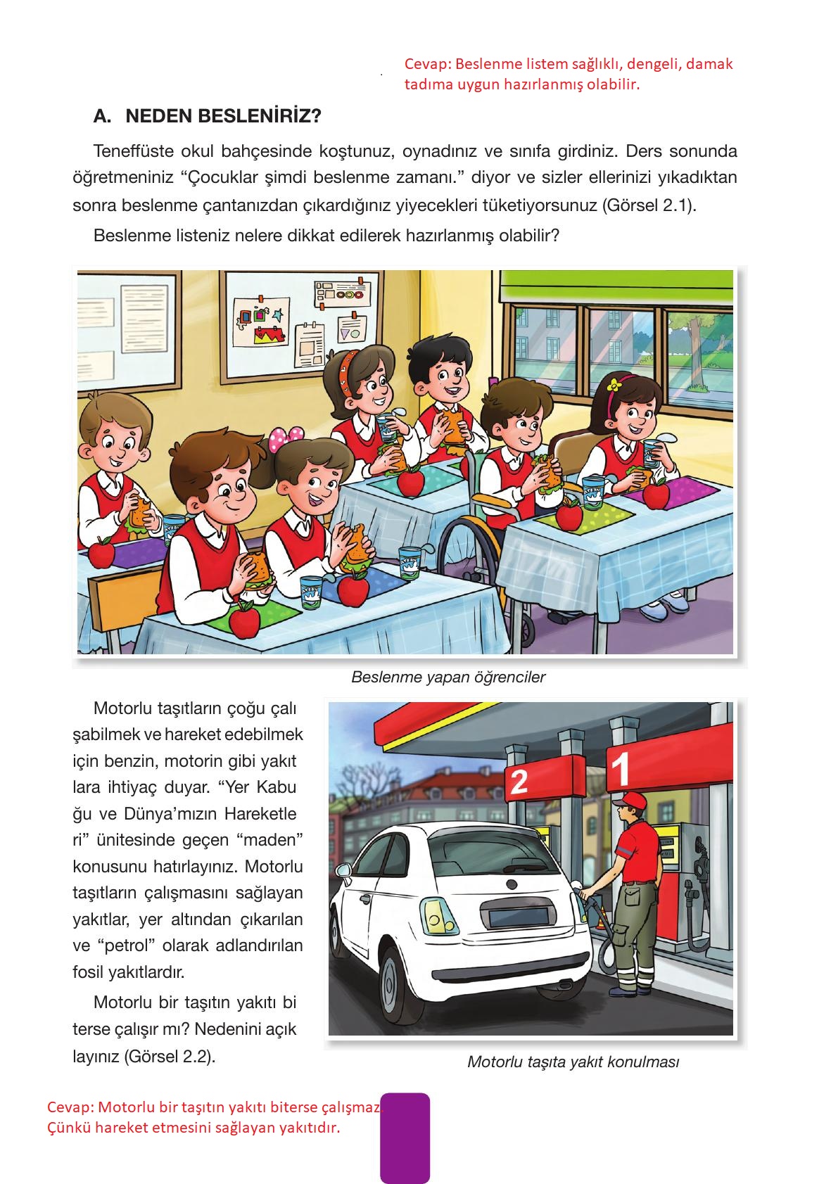 4. Sınıf Pasifik Yayınları Fen Bilimleri Ders Kitabı Sayfa 59 Cevapları 4. Sınıf Pasifik Yayınları Fen Bilimleri Ders Kitabı Sayfa 59 Cevapları