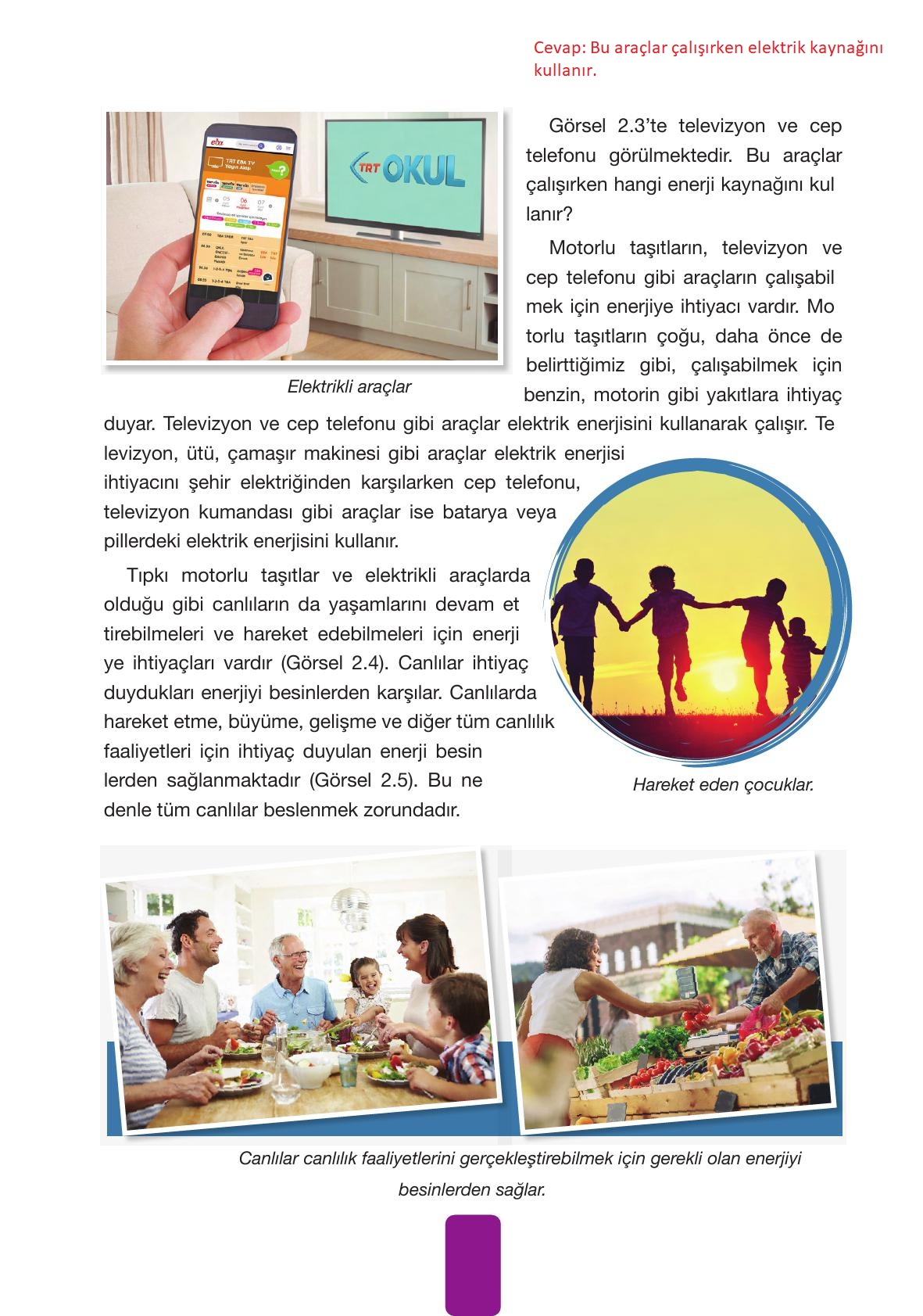 4. Sınıf Pasifik Yayınları Fen Bilimleri Ders Kitabı Sayfa 60 Cevapları 4. Sınıf Pasifik Yayınları Fen Bilimleri Ders Kitabı Sayfa 60 Cevapları