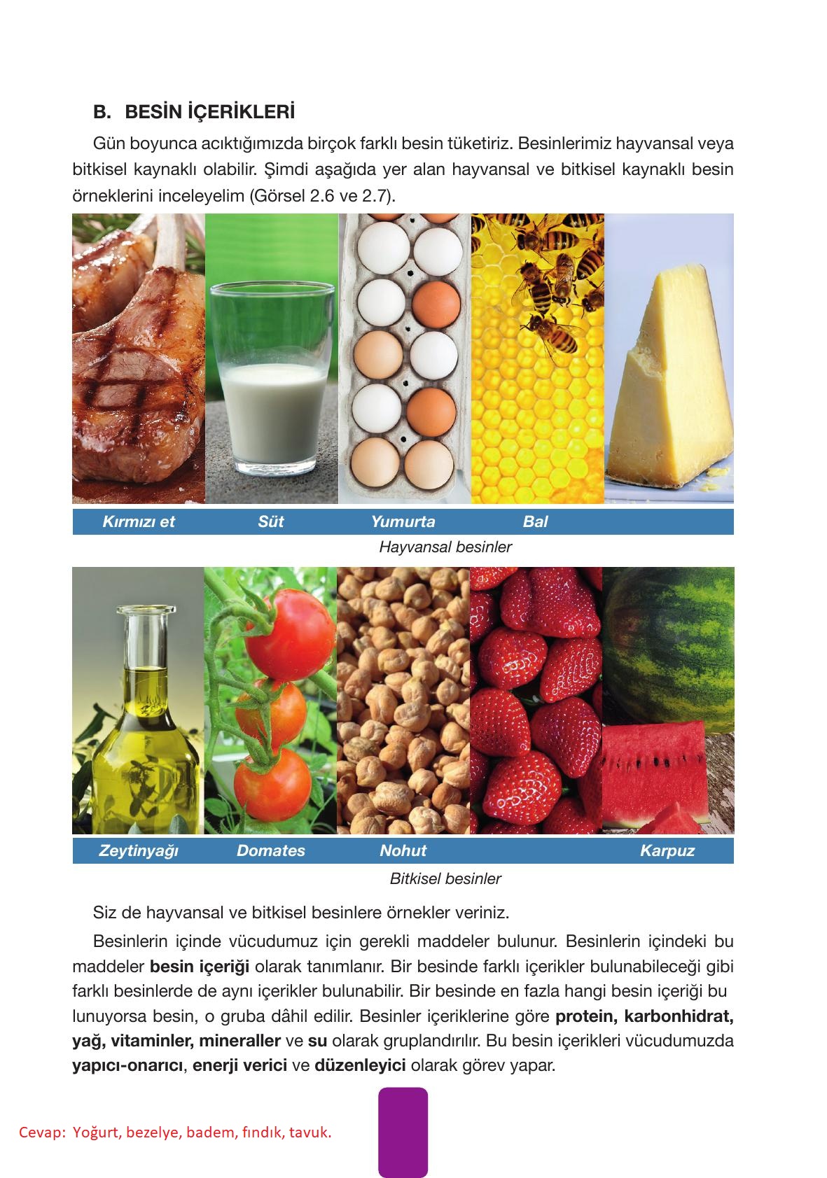 4. Sınıf Pasifik Yayınları Fen Bilimleri Ders Kitabı Sayfa 61 Cevapları