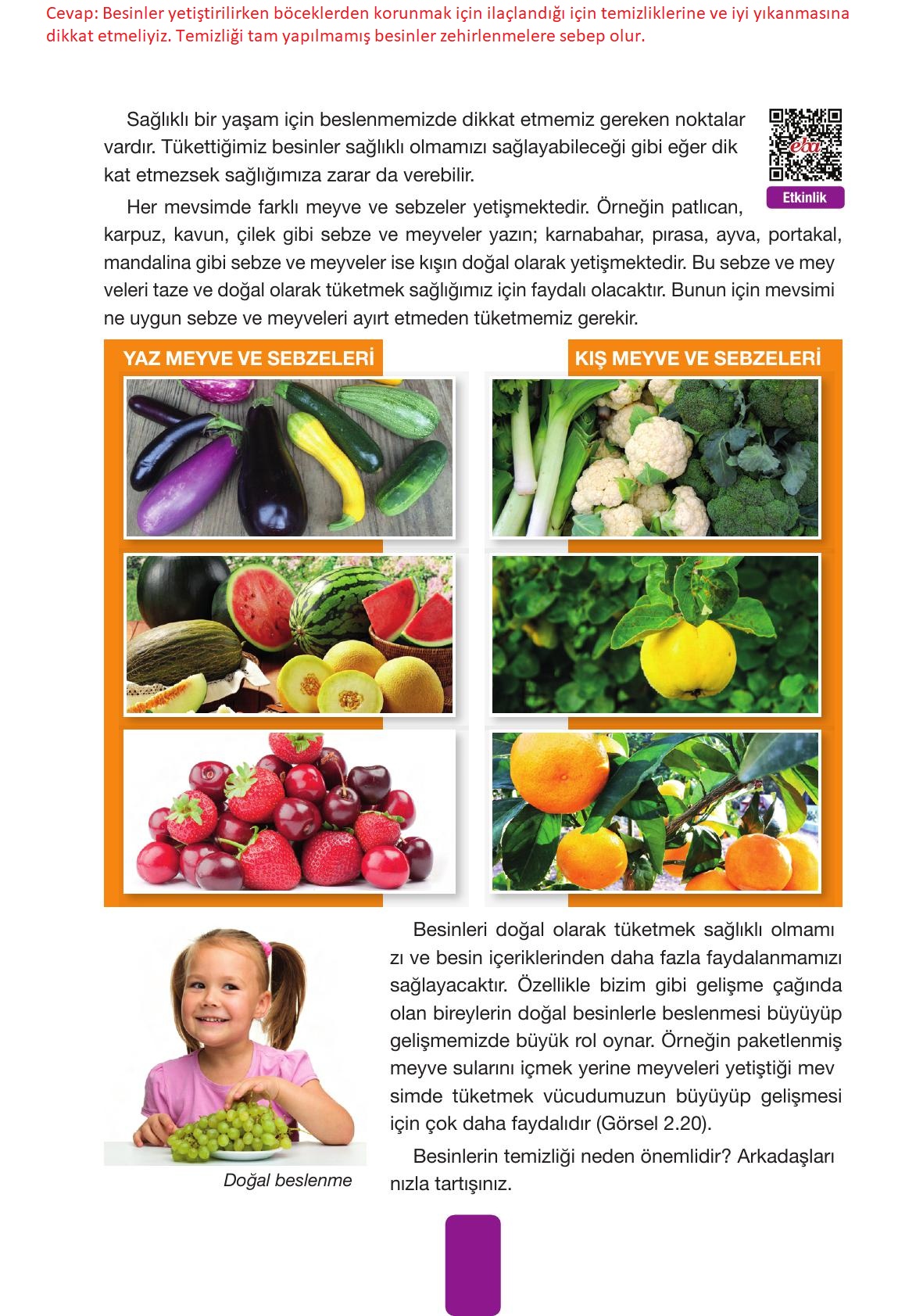 4. Sınıf Pasifik Yayınları Fen Bilimleri Ders Kitabı Sayfa 68 Cevapları 4. Sınıf Pasifik Yayınları Fen Bilimleri Ders Kitabı Sayfa 68 Cevapları