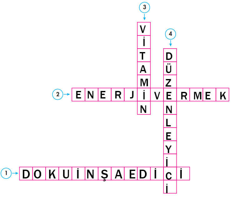 4. Sınıf Pasifik Yayınları Fen Bilimleri Ders Kitabı Sayfa 81 Cevapları 4. Sınıf Pasifik Yayınları Fen Bilimleri Ders Kitabı Sayfa 81 Cevapları