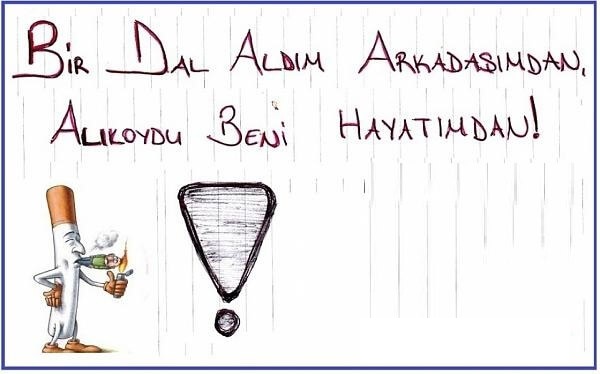 4. Sınıf Pasifik Yayınları Fen Bilimleri Ders Kitabı Sayfa 83 Cevapları 4. Sınıf Pasifik Yayınları Fen Bilimleri Ders Kitabı Sayfa 83 Cevapları