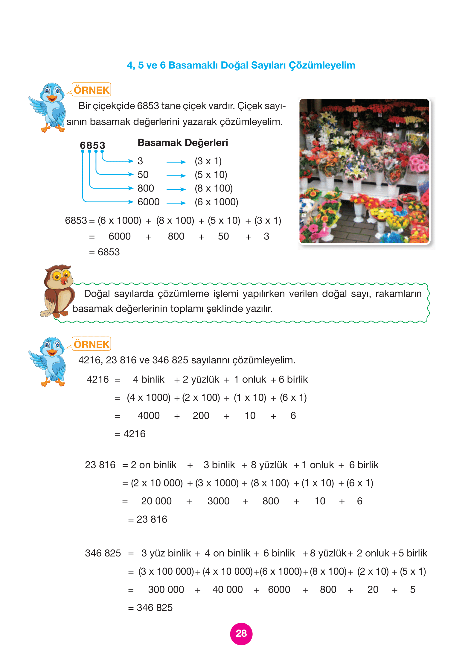 4. Sınıf Pasifik Yayınları Matematik Ders Kitabı Sayfa 28 Cevapları