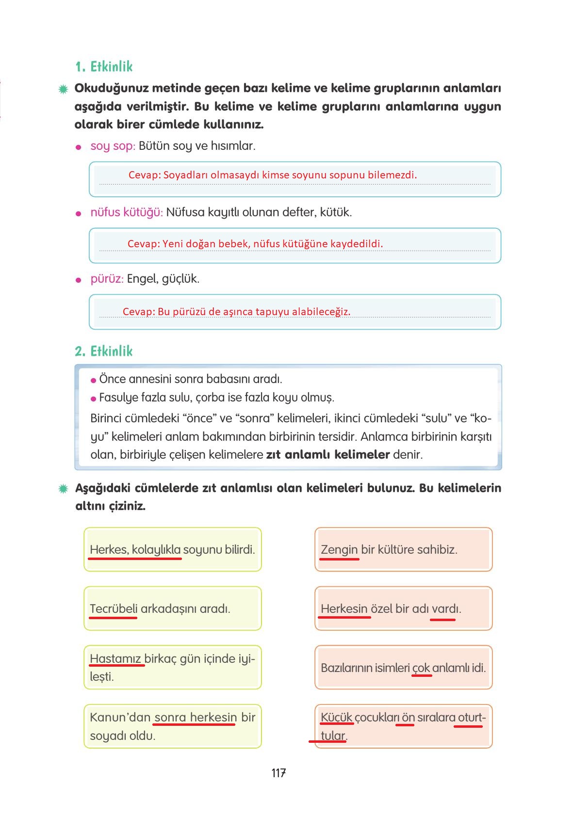 4. Sınıf Tuna Yayınları Türkçe Ders Kitabı Sayfa 117 Cevapları