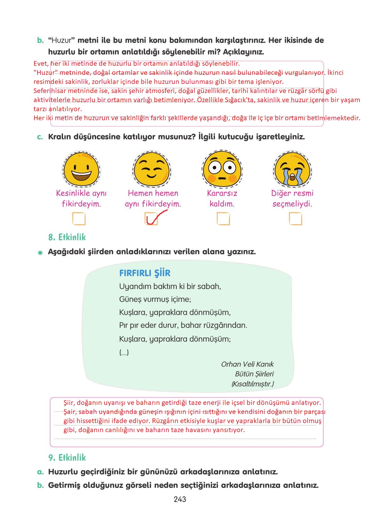 4. Sınıf Tuna Yayınları Türkçe Ders Kitabı Sayfa 243 Cevapları