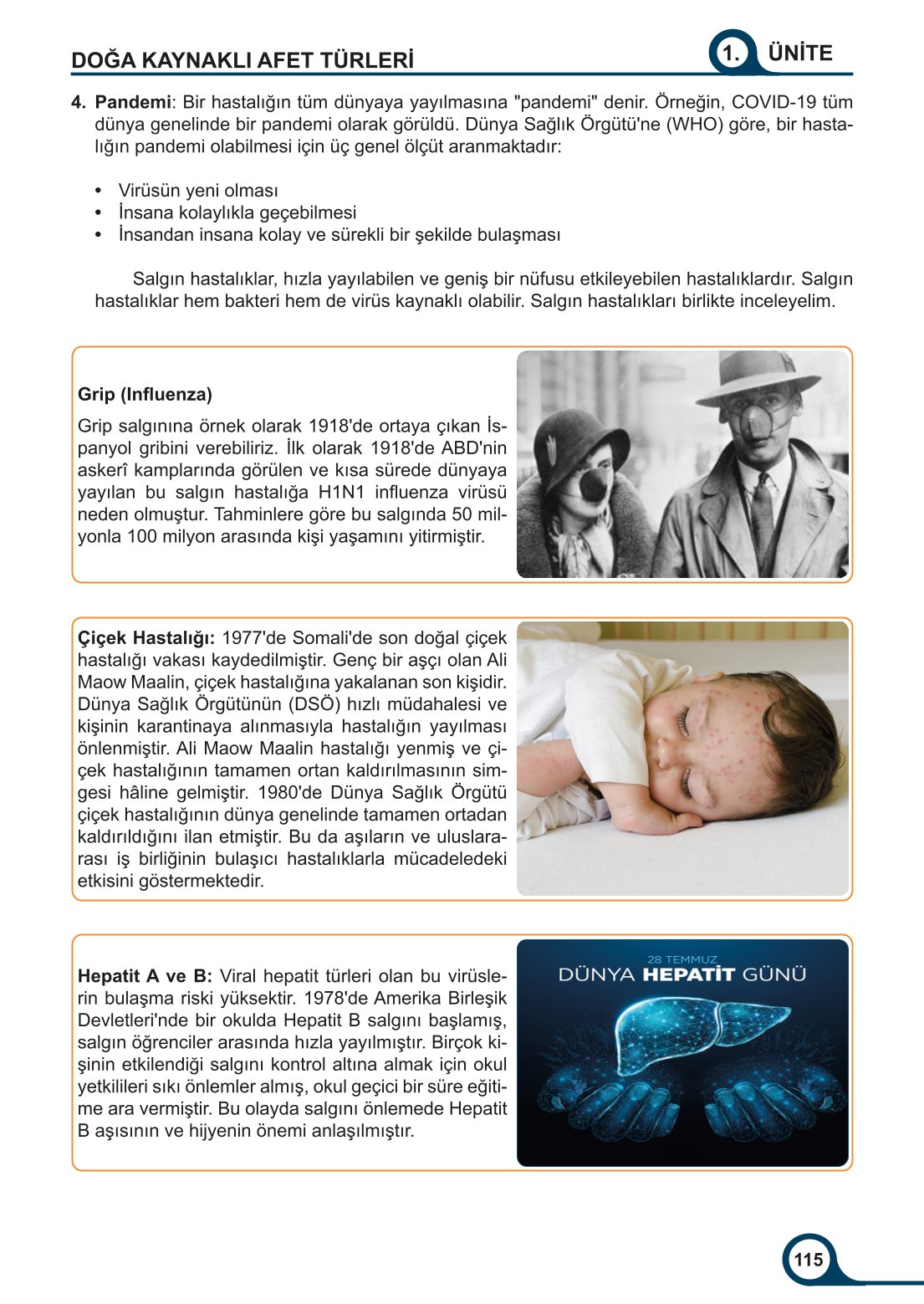 5-6-7. Sınıf Meb Yayınları Afet Bilinci Ders Kitabı 2. Kitap Sayfa 115 Cevapları