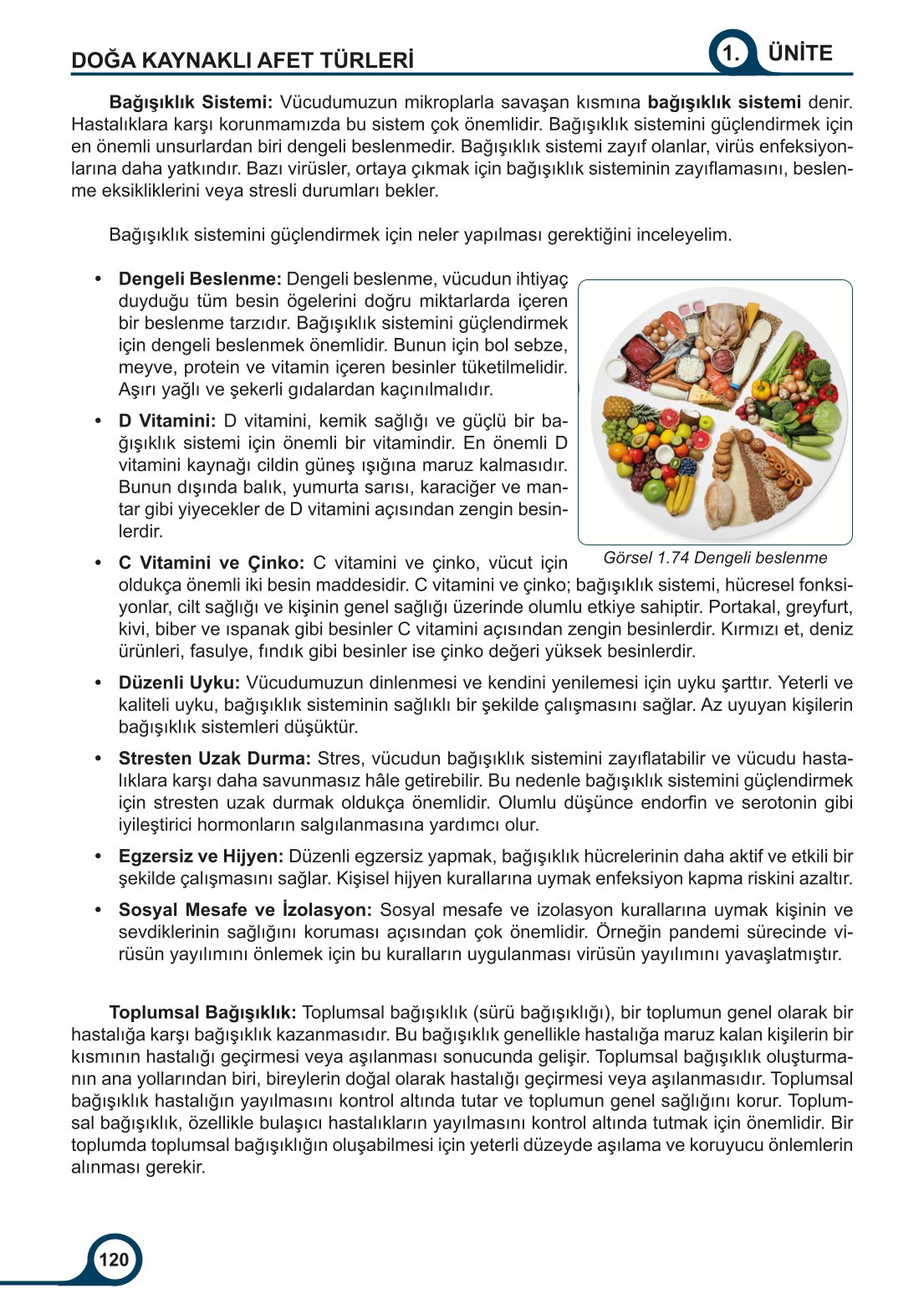 5-6-7. Sınıf Meb Yayınları Afet Bilinci Ders Kitabı 2. Kitap Sayfa 120 Cevapları