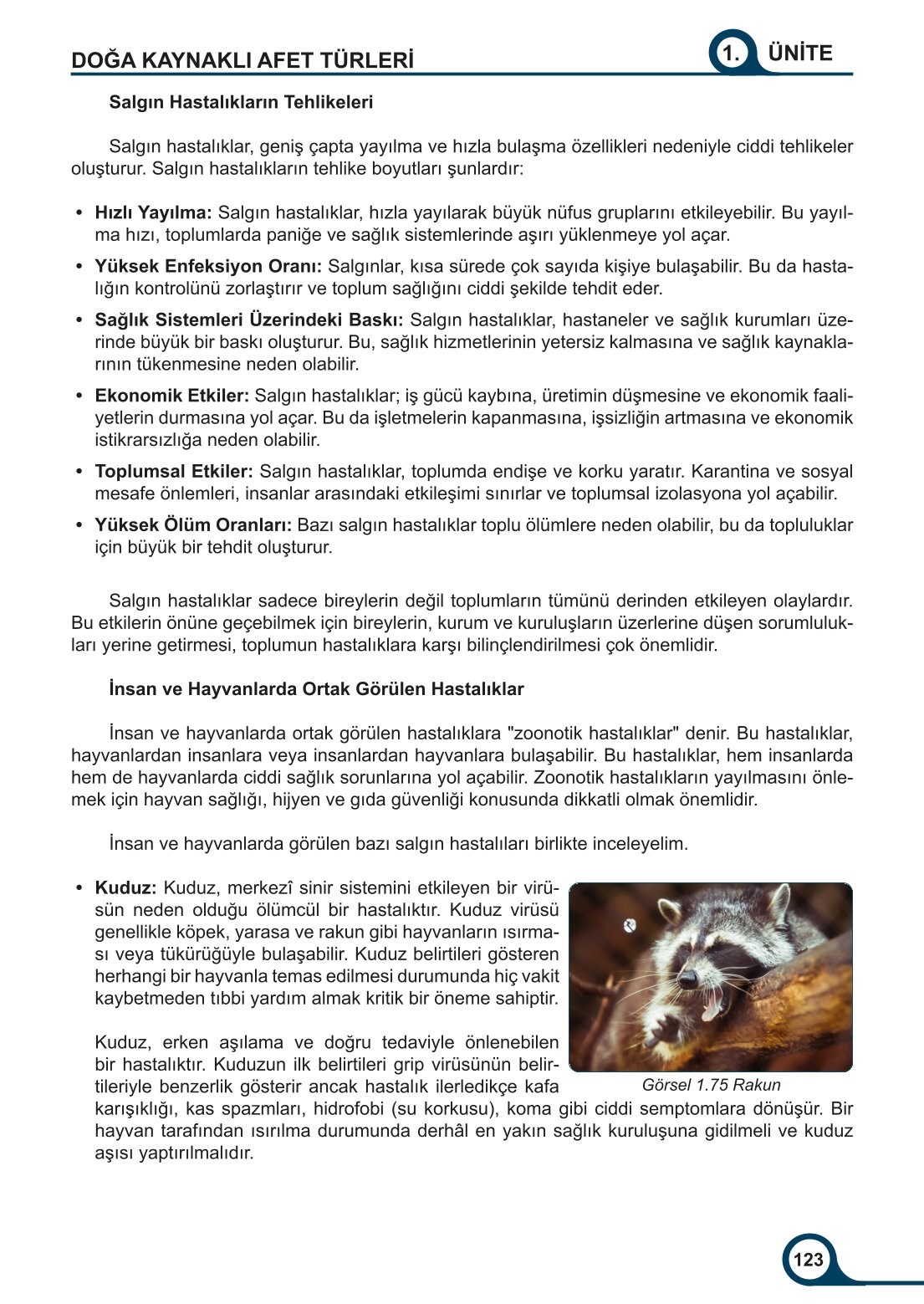 5-6-7. Sınıf Meb Yayınları Afet Bilinci Ders Kitabı 2. Kitap Sayfa 123 Cevapları