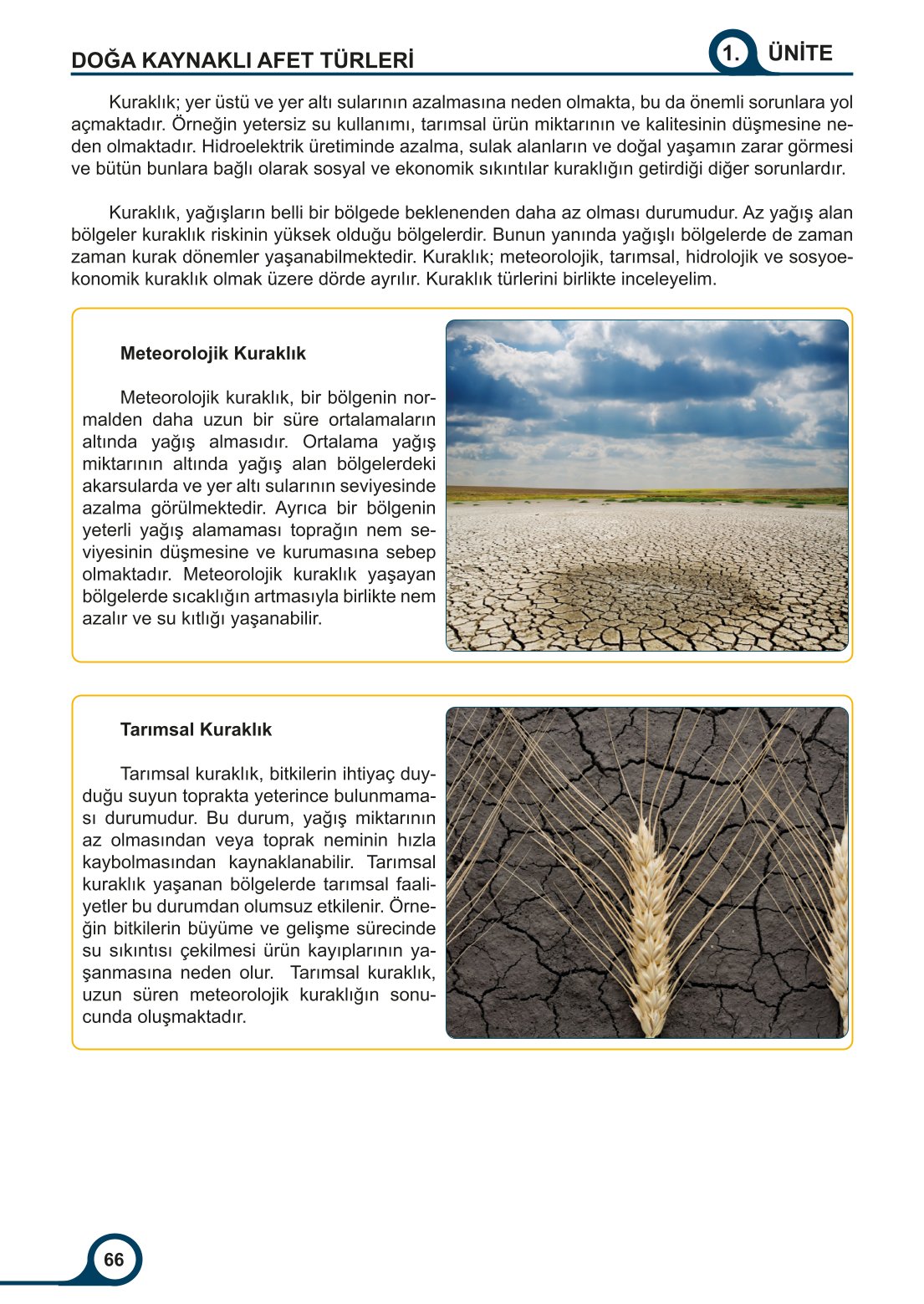 5-6-7. Sınıf Meb Yayınları Afet Bilinci Ders Kitabı 2. Kitap Sayfa 66 Cevapları