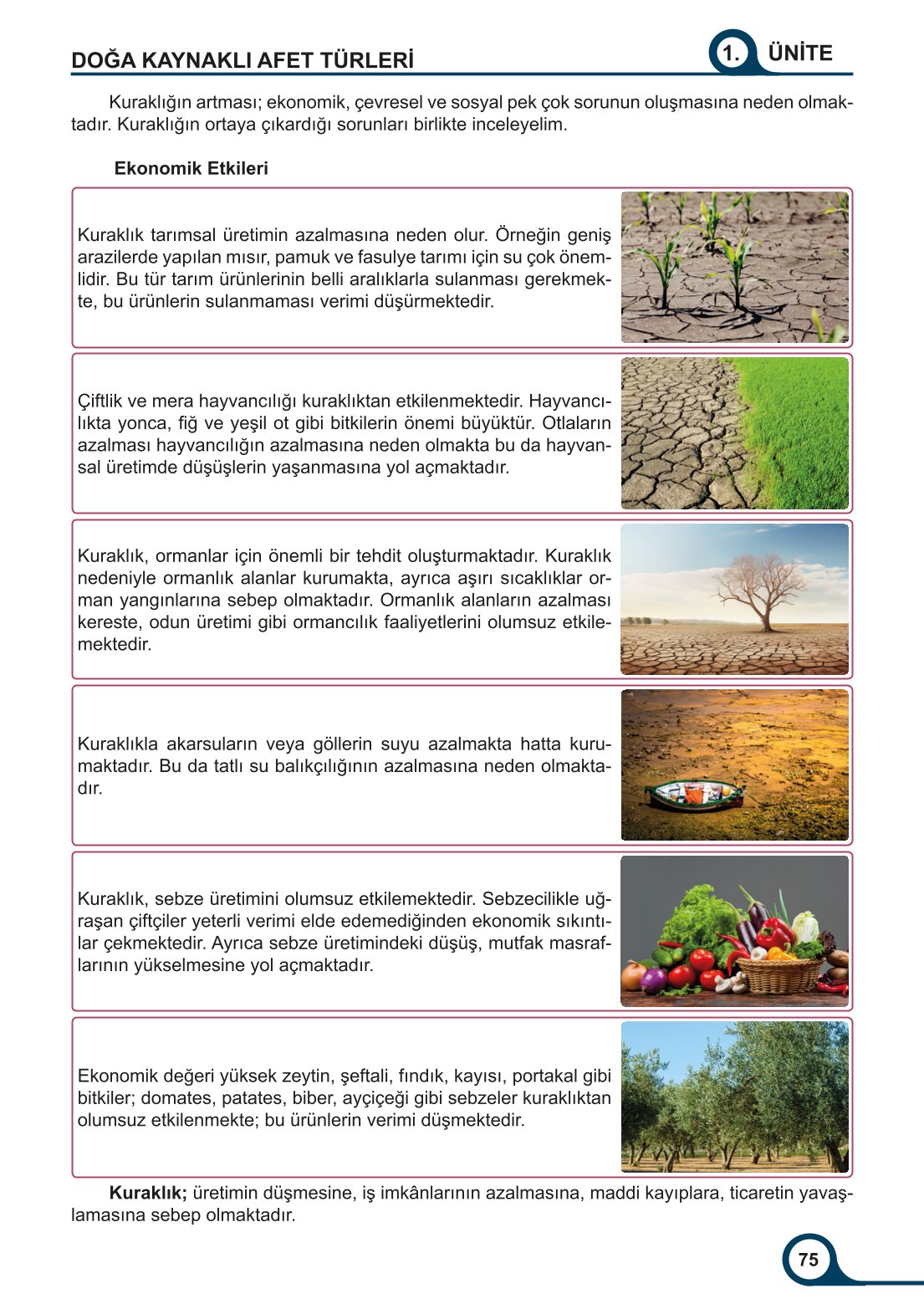 5-6-7. Sınıf Meb Yayınları Afet Bilinci Ders Kitabı 2. Kitap Sayfa 75 Cevapları