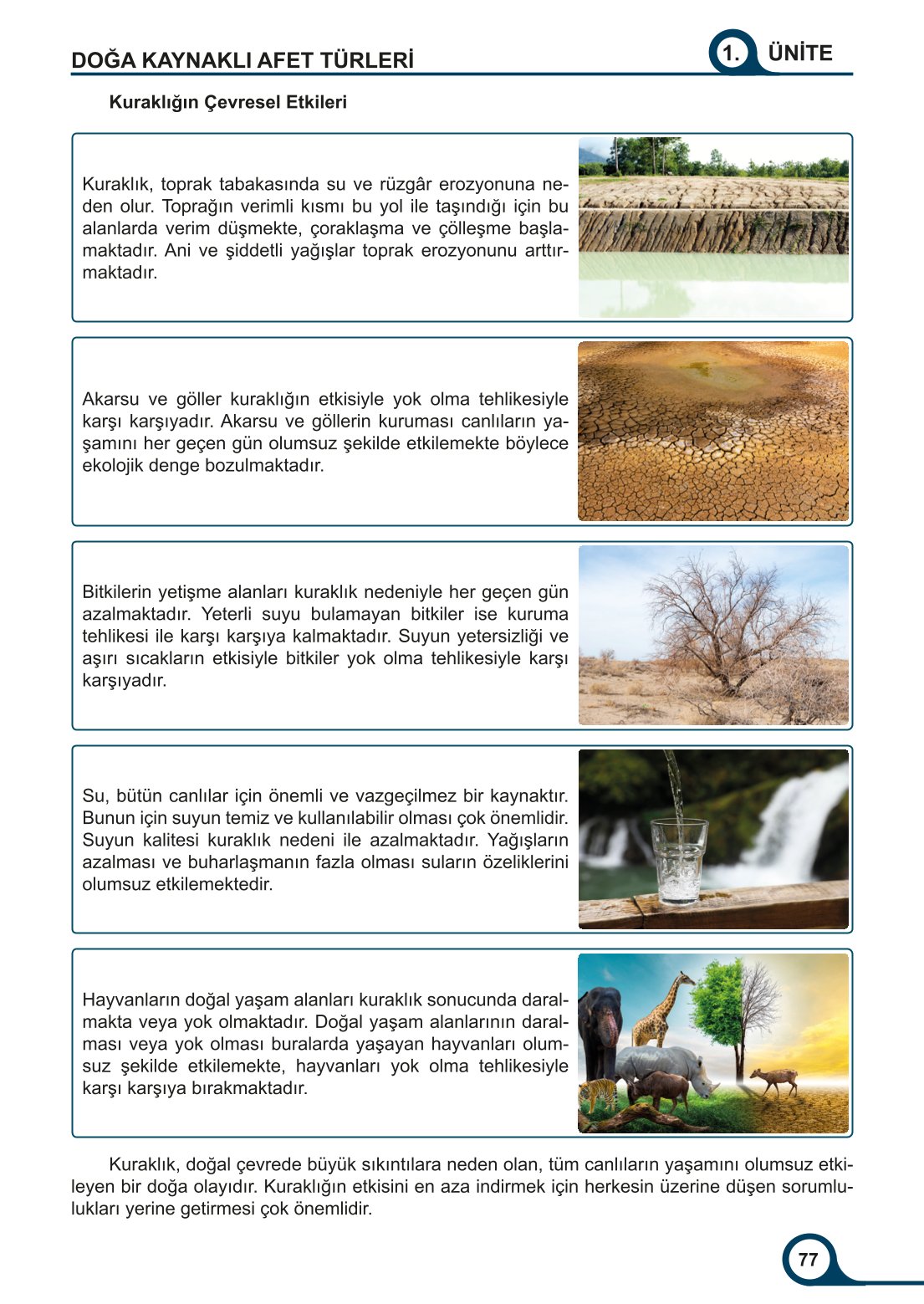 5-6-7. Sınıf Meb Yayınları Afet Bilinci Ders Kitabı 2. Kitap Sayfa 77 Cevapları