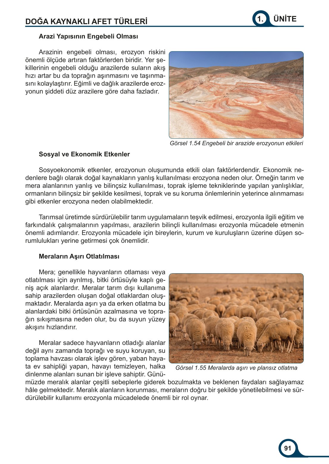 5-6-7. Sınıf Meb Yayınları Afet Bilinci Ders Kitabı 2. Kitap Sayfa 91 Cevapları 5-6-7. Sınıf Meb Yayınları Afet Bilinci Ders Kitabı 2. Kitap Sayfa 91 Cevapları