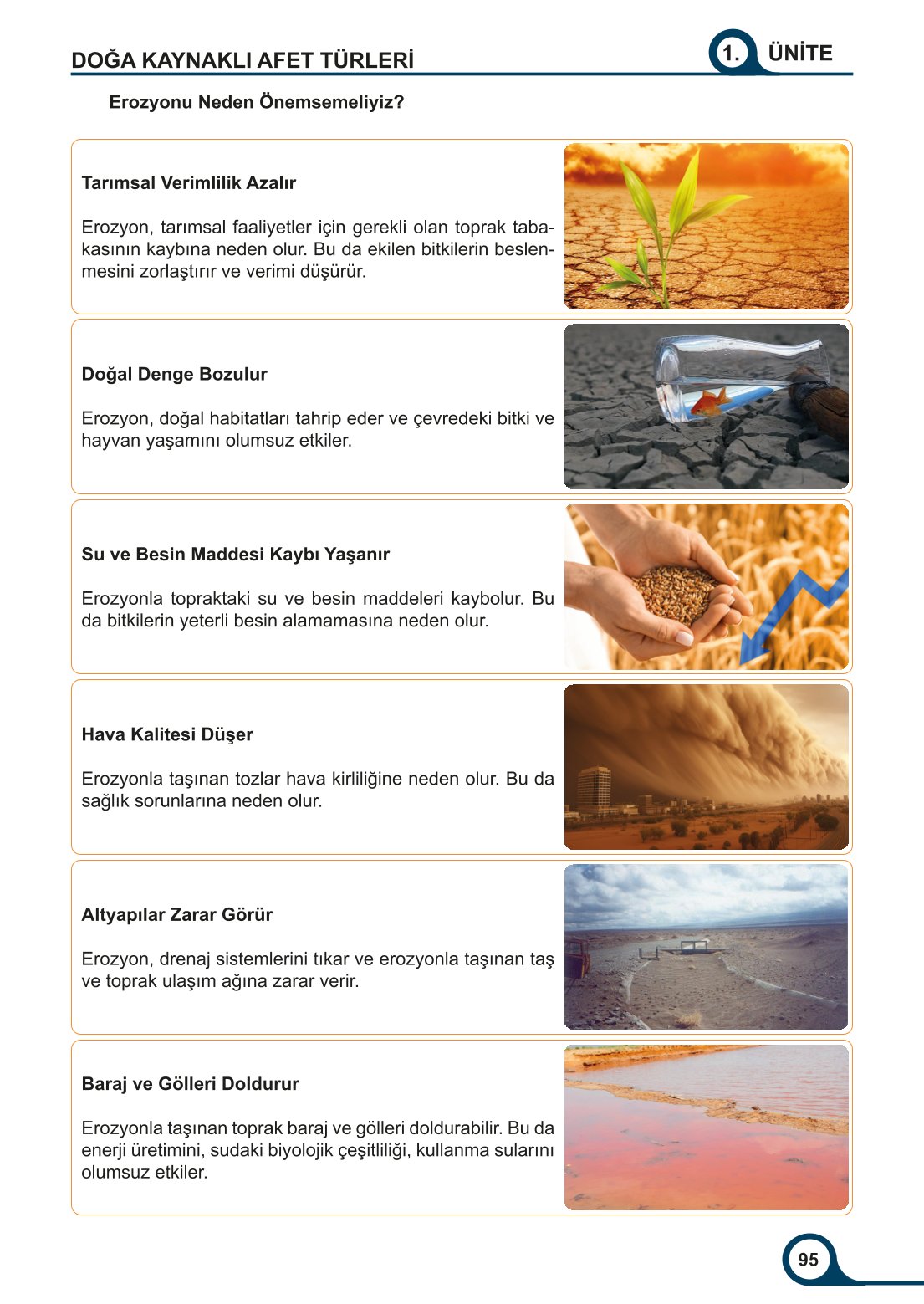 5-6-7. Sınıf Meb Yayınları Afet Bilinci Ders Kitabı 2. Kitap Sayfa 95 Cevapları