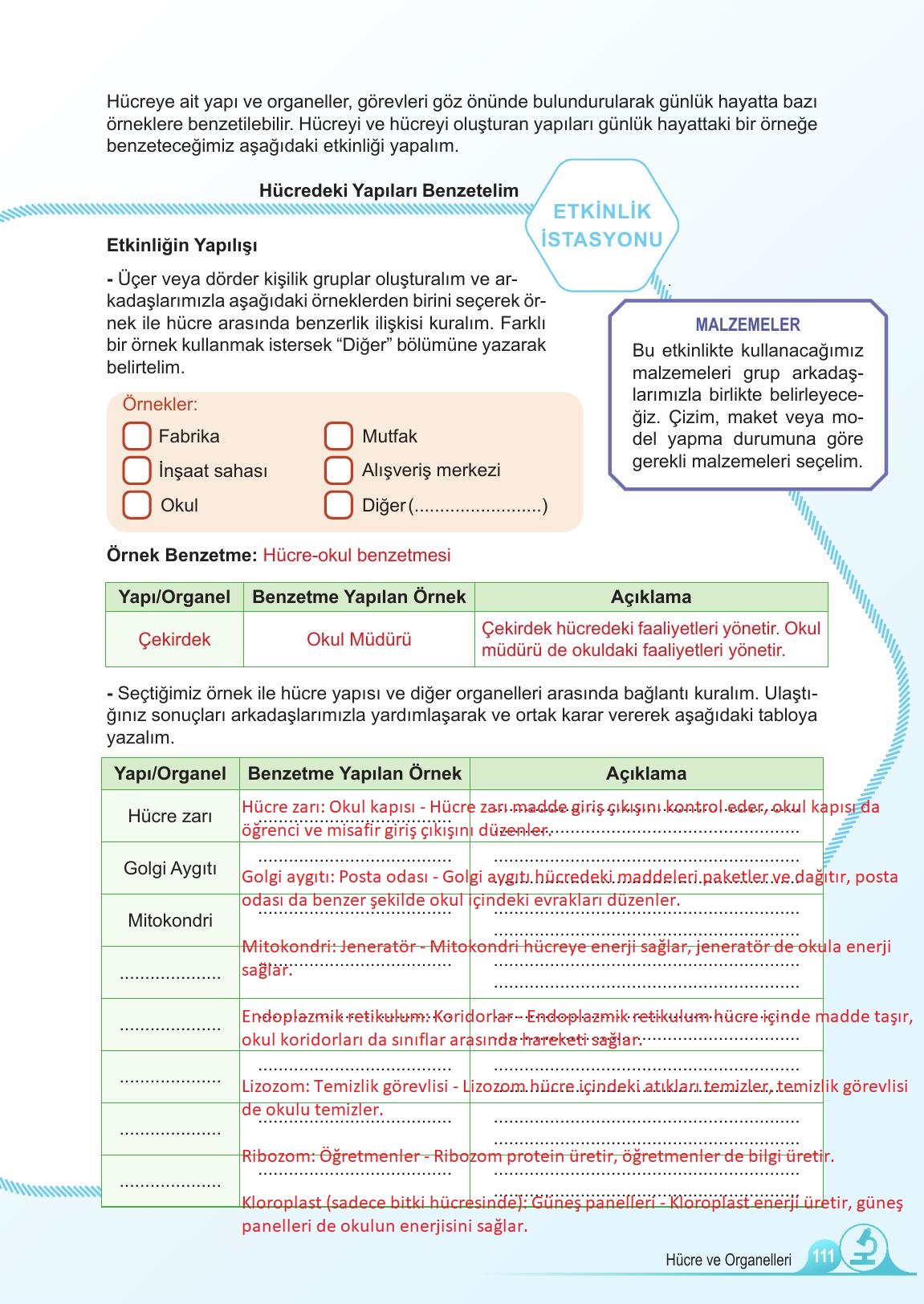 5. Sınıf Meb Yayınları Fen Bilimleri Ders Kitabı 1. Kitap Sayfa 111 Cevapları 5. Sınıf Meb Yayınları Fen Bilimleri Ders Kitabı 1. Kitap Sayfa 111 Cevapları
