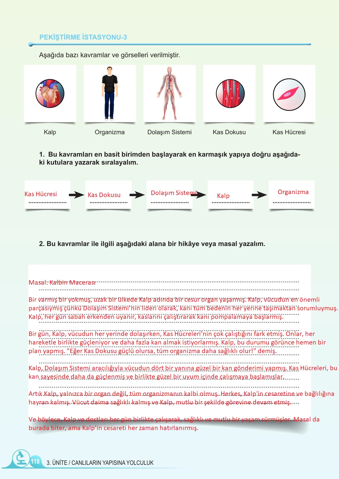 5. Sınıf Meb Yayınları Fen Bilimleri Ders Kitabı 1. Kitap Sayfa 118 Cevapları