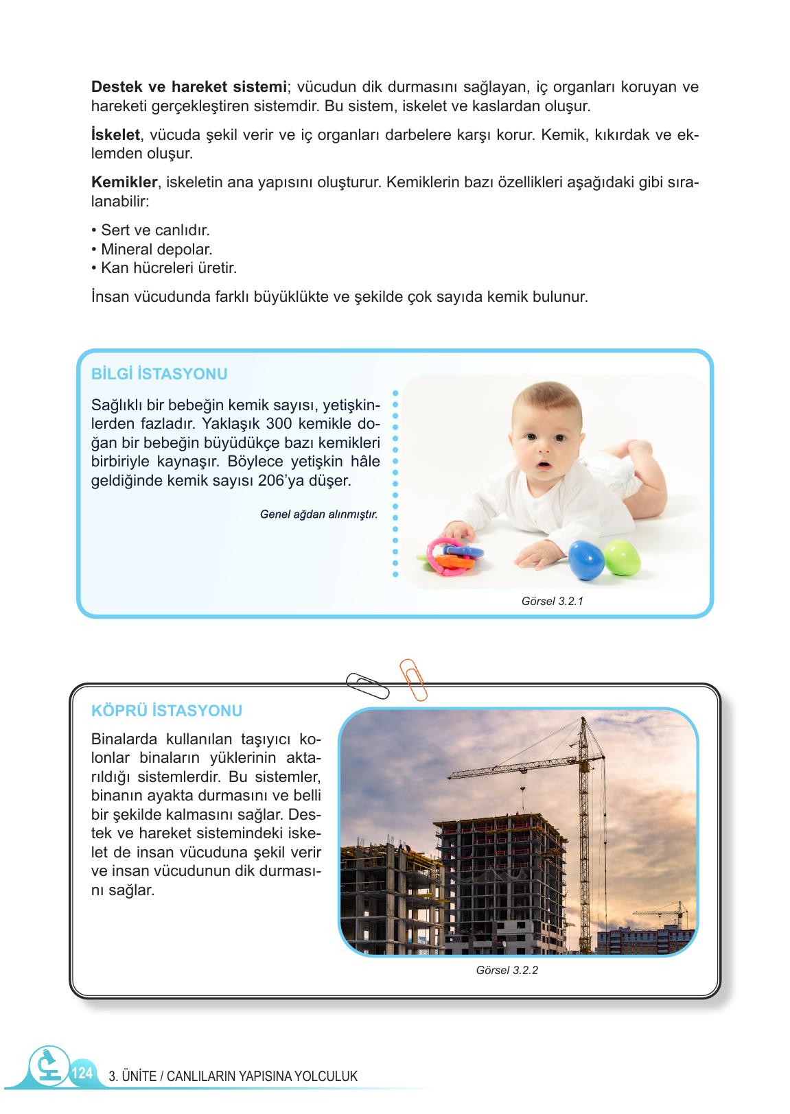 5. Sınıf Meb Yayınları Fen Bilimleri Ders Kitabı 1. Kitap Sayfa 124 Cevapları