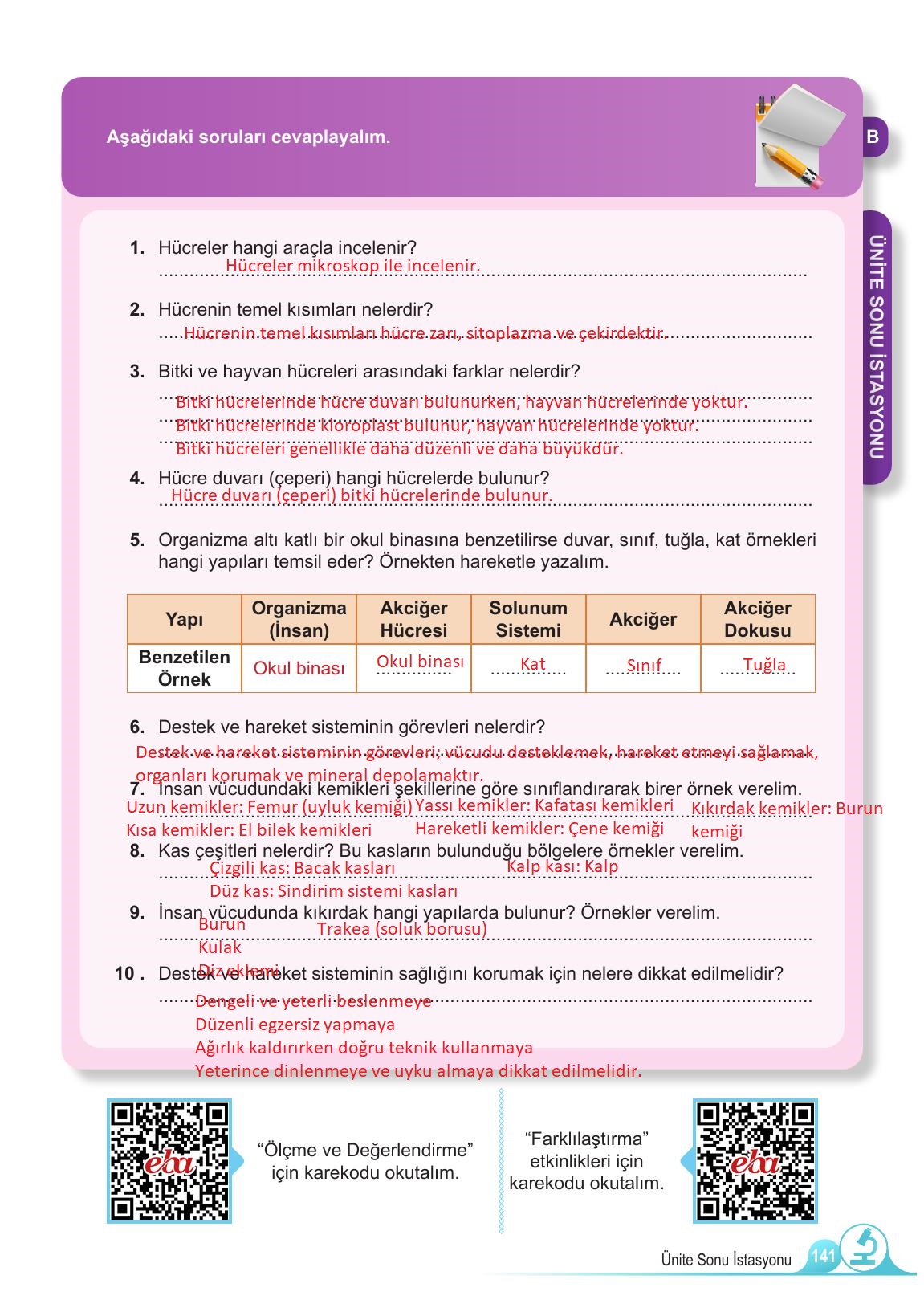 5. Sınıf Meb Yayınları Fen Bilimleri Ders Kitabı 1. Kitap Sayfa 141 Cevapları 5. Sınıf Meb Yayınları Fen Bilimleri Ders Kitabı 1. Kitap Sayfa 141 Cevapları
