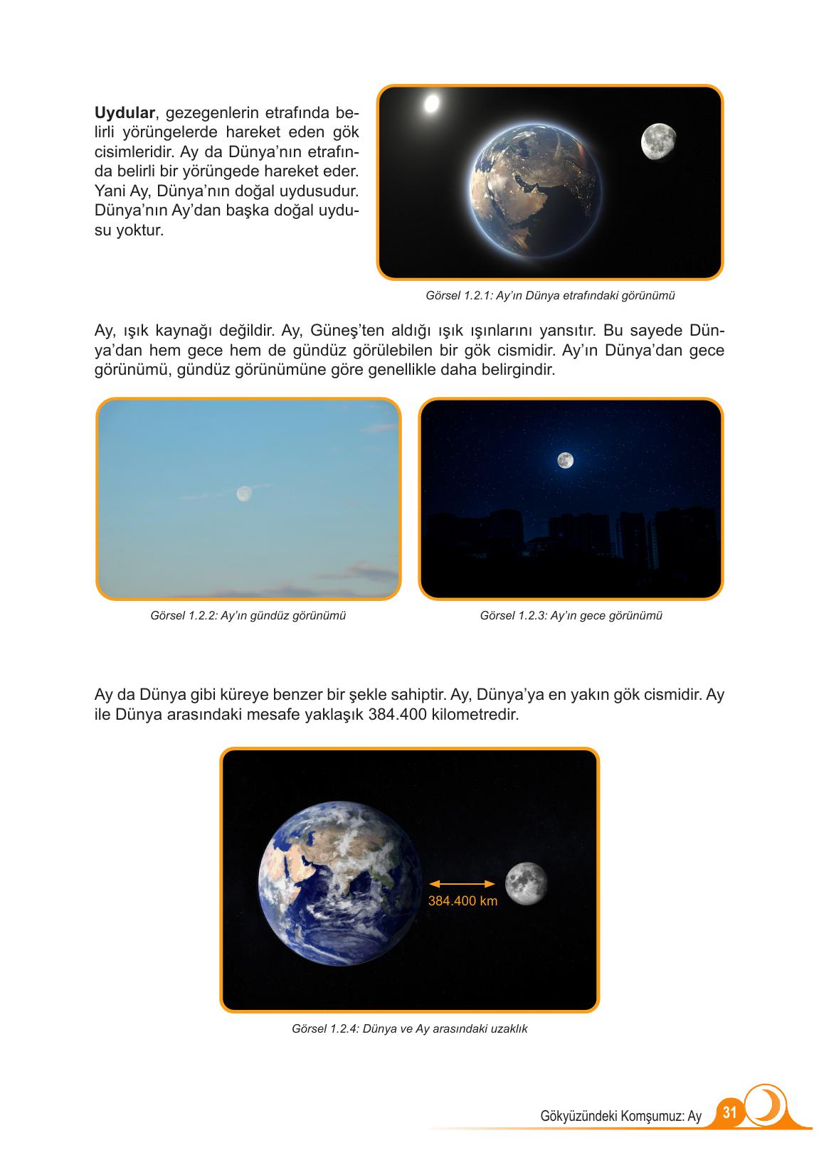 5. Sınıf Meb Yayınları Fen Bilimleri Ders Kitabı 1. Kitap Sayfa 31 Cevapları 5. Sınıf Meb Yayınları Fen Bilimleri Ders Kitabı 1. Kitap Sayfa 31 Cevapları