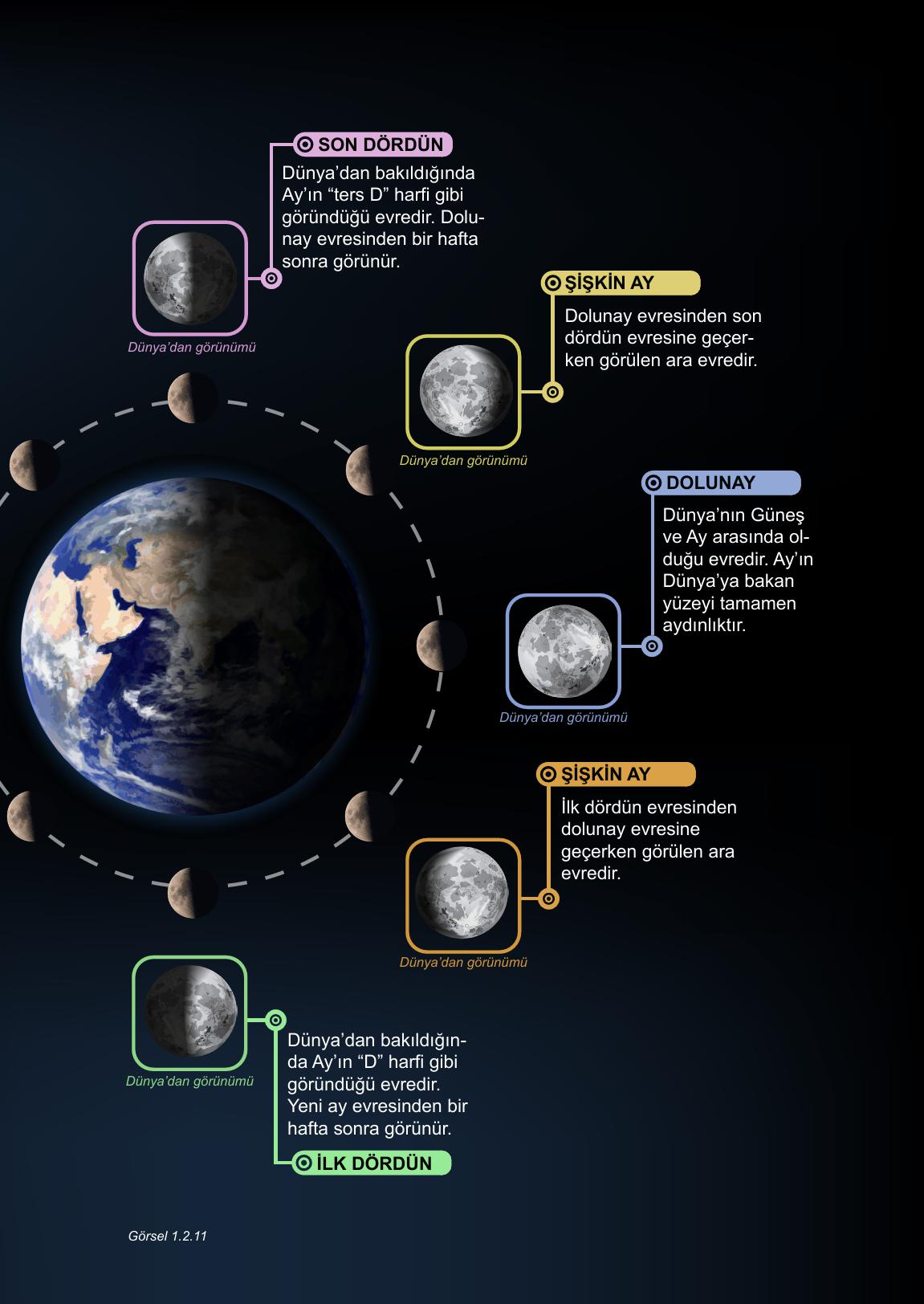 5. Sınıf Meb Yayınları Fen Bilimleri Ders Kitabı 1. Kitap Sayfa 39 Cevapları