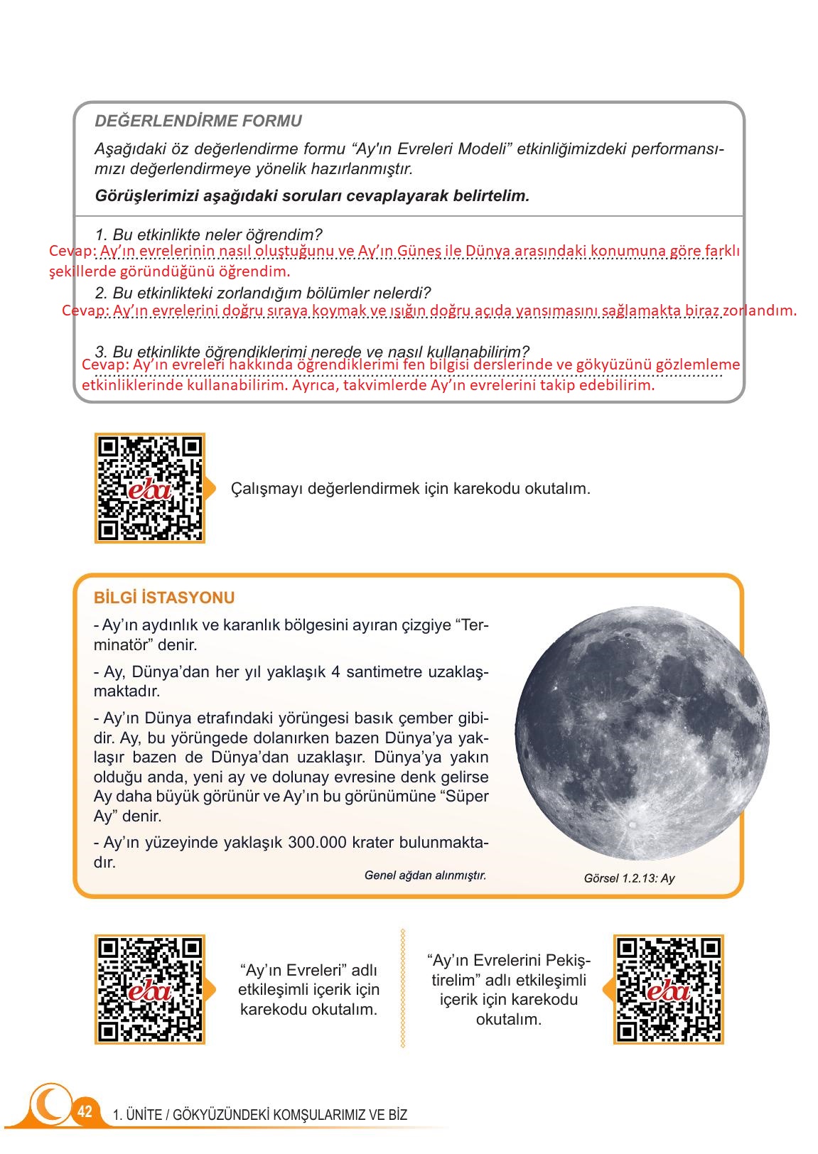 5. Sınıf Meb Yayınları Fen Bilimleri Ders Kitabı 1. Kitap Sayfa 42 Cevapları