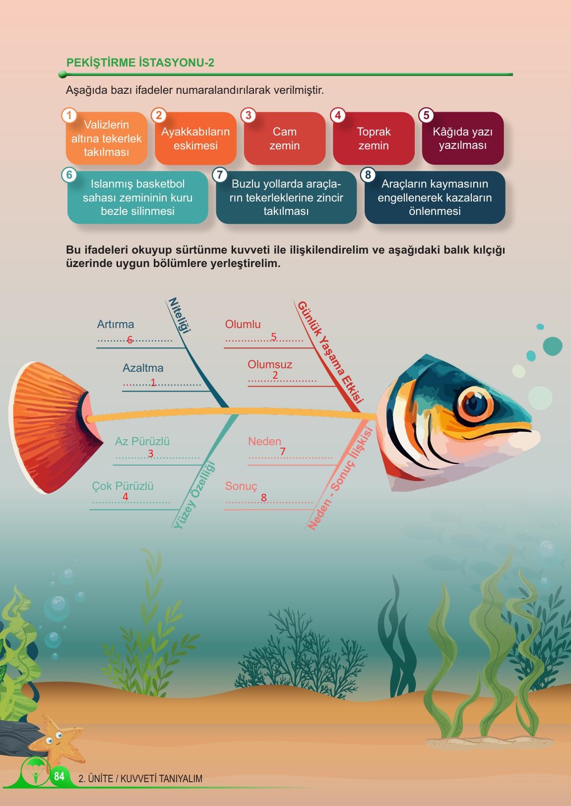 5. Sınıf Meb Yayınları Fen Bilimleri Ders Kitabı 1. Kitap Sayfa 84 Cevapları