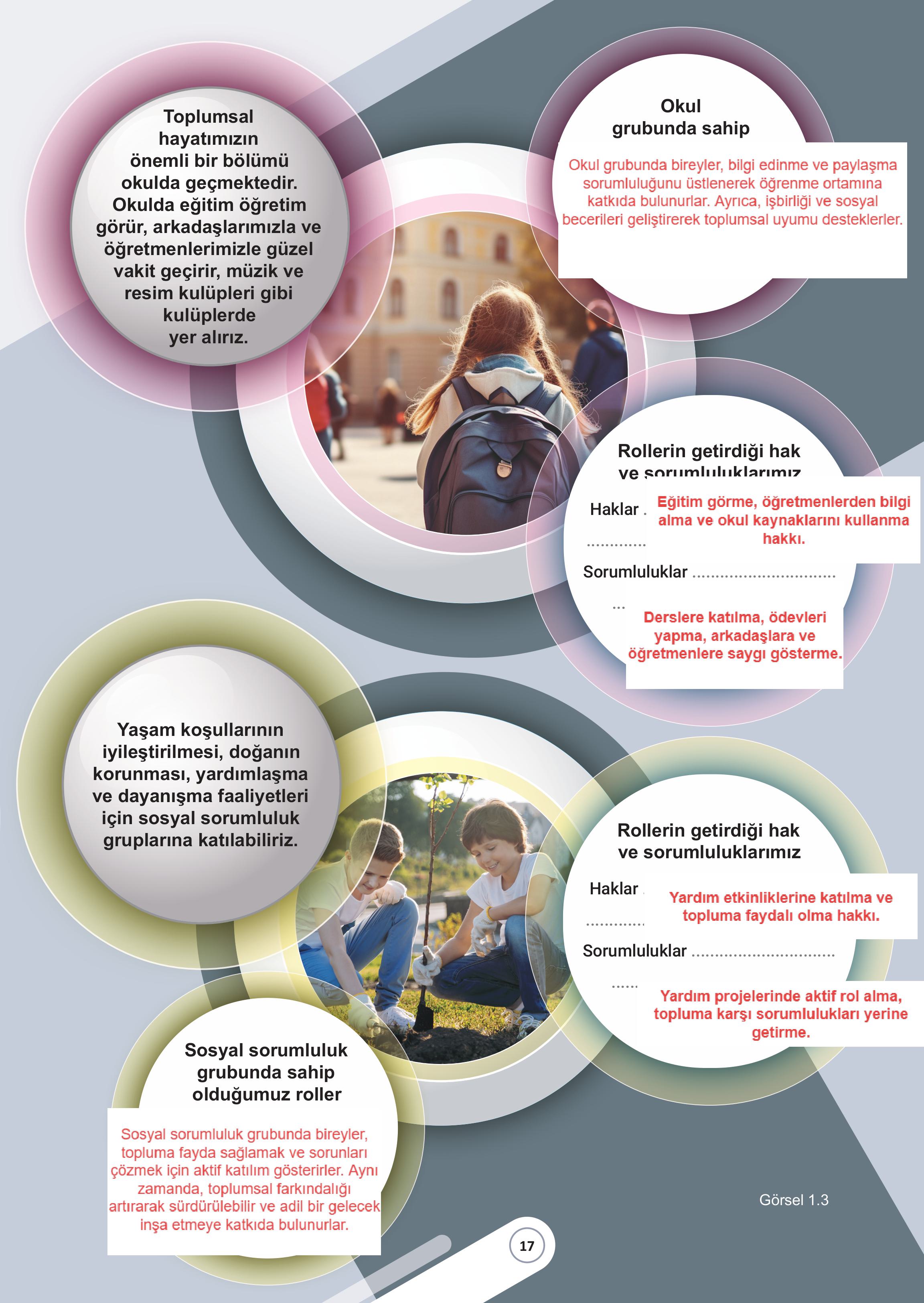 5. Sınıf Meb Yayınları Sosyal Bilgiler Ders Kitabı 1. Kitap Sayfa 17 Cevapları