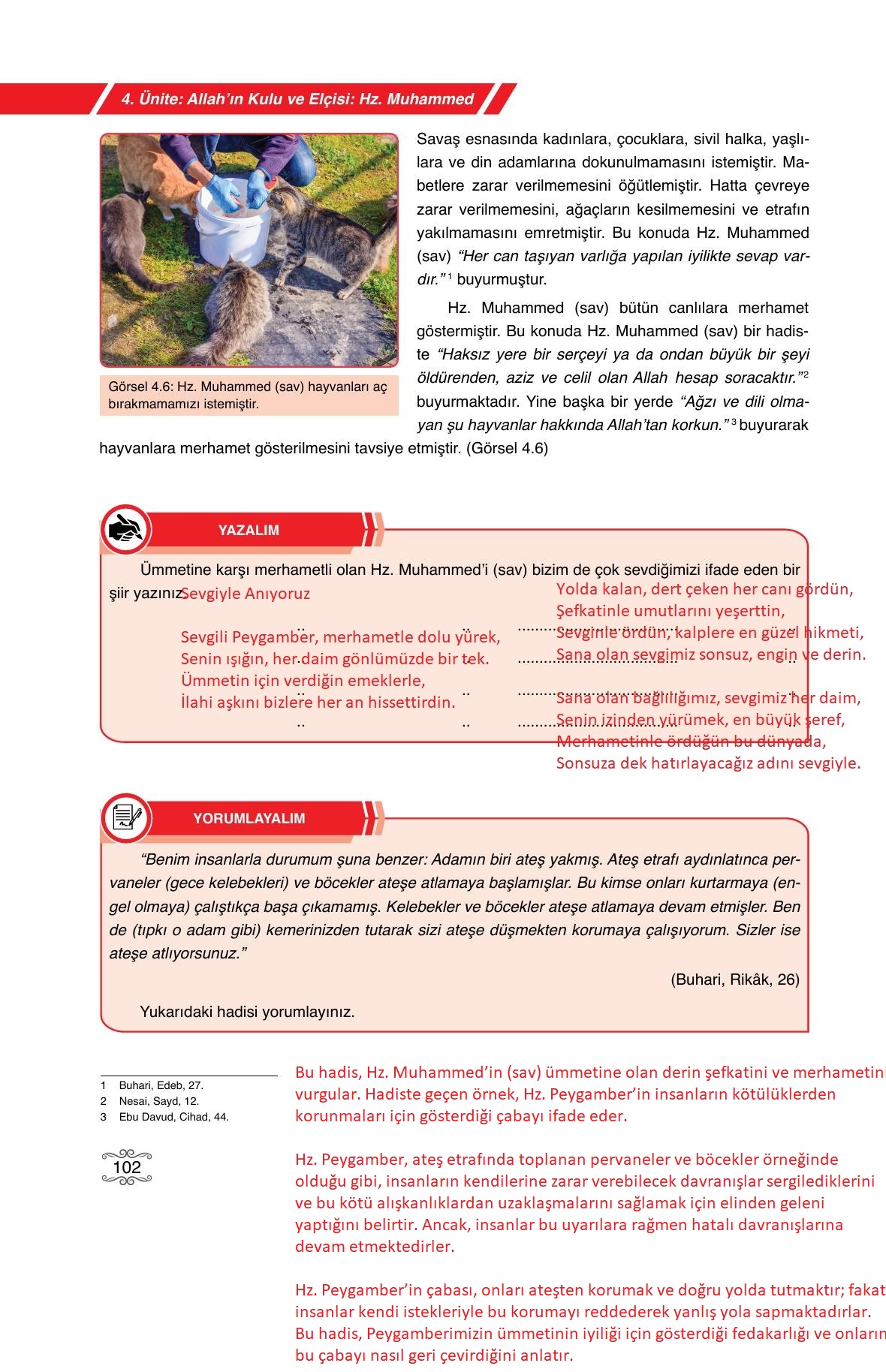 7. Sınıf Erkad Yayıncılık Din Kültürü Ve Ahlak Bilgisi Ders Kitabı Sayfa 102 Cevapları