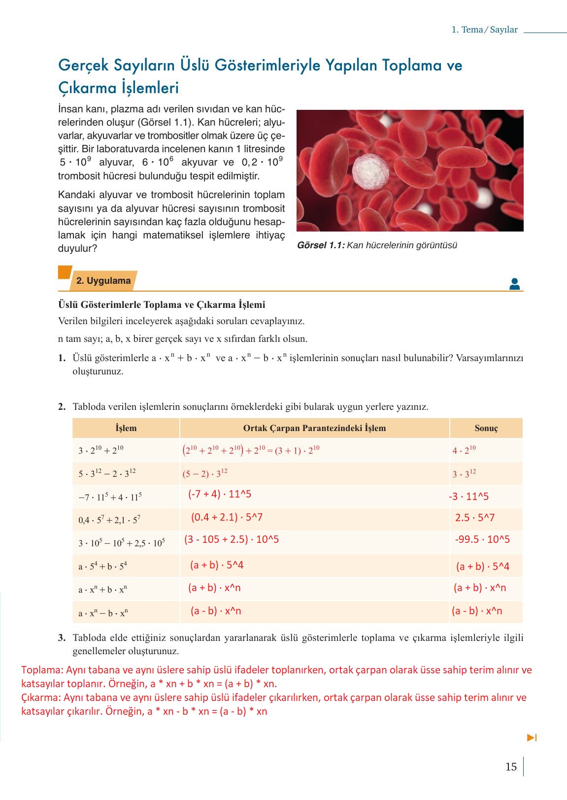 9. Sınıf Meb Yayınları Matematik Ders Kitabı 1. Kitap Sayfa 15 Cevapları