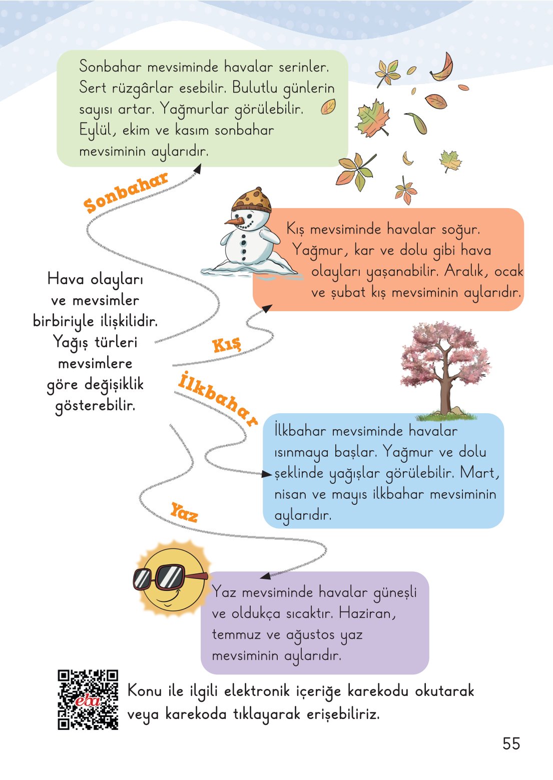 2. Sınıf Hayat Bilgisi 2. Kitap Meb Yayınları Ders Kitabı Sayfa 56 Cevapları