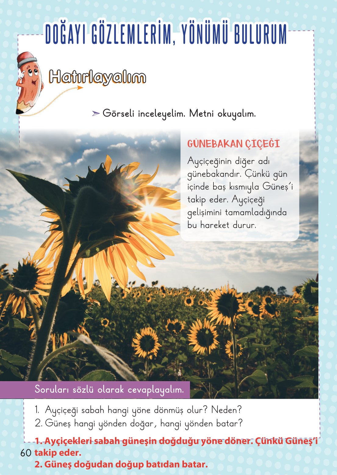 2. Sınıf Hayat Bilgisi 2. Kitap Meb Yayınları Ders Kitabı Sayfa 61 Cevapları 2. Sınıf Hayat Bilgisi 2. Kitap Meb Yayınları Ders Kitabı Sayfa 61 Cevapları