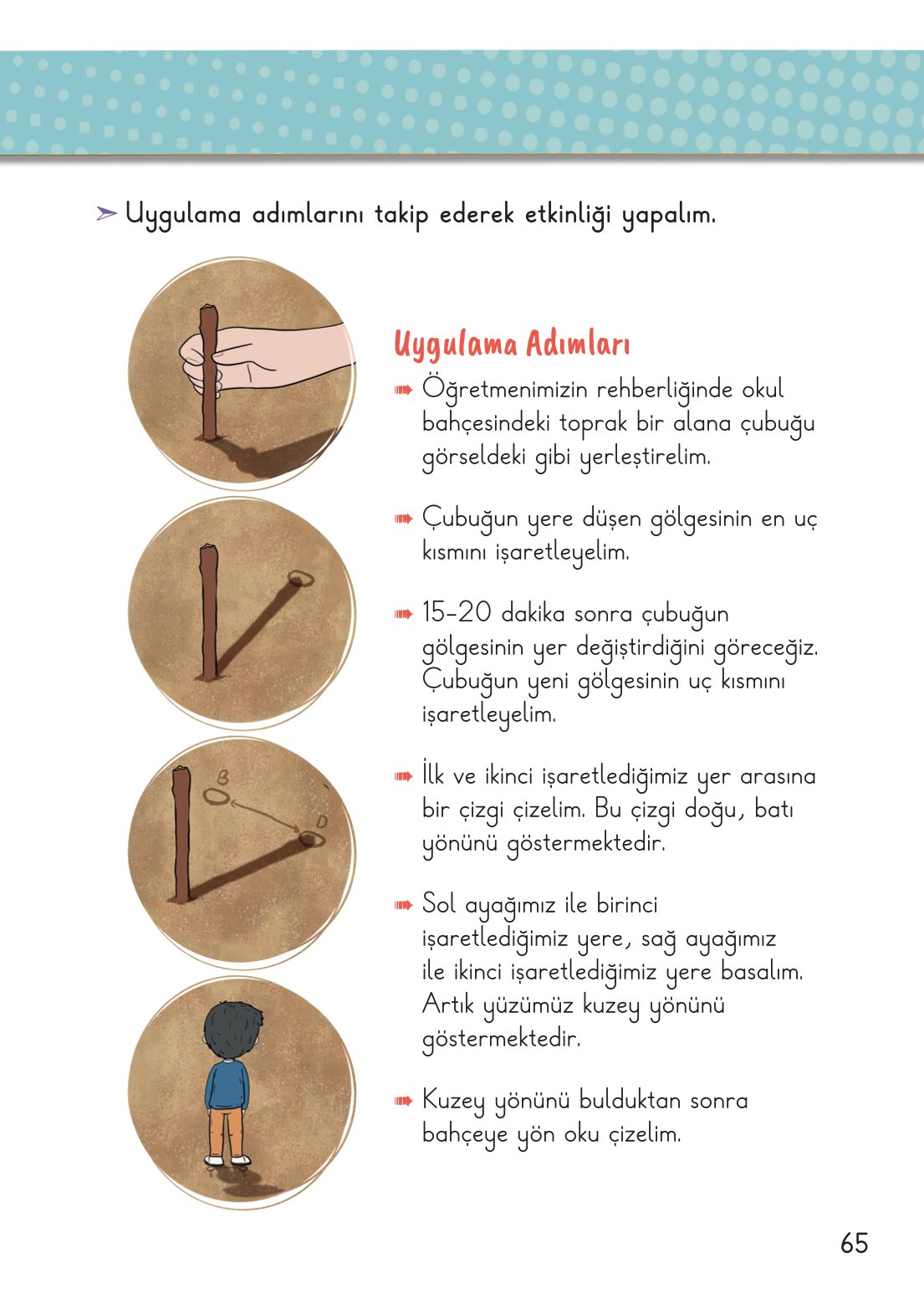 2. Sınıf Hayat Bilgisi 2. Kitap Meb Yayınları Ders Kitabı Sayfa 66 Cevapları 2. Sınıf Hayat Bilgisi 2. Kitap Meb Yayınları Ders Kitabı Sayfa 66 Cevapları
