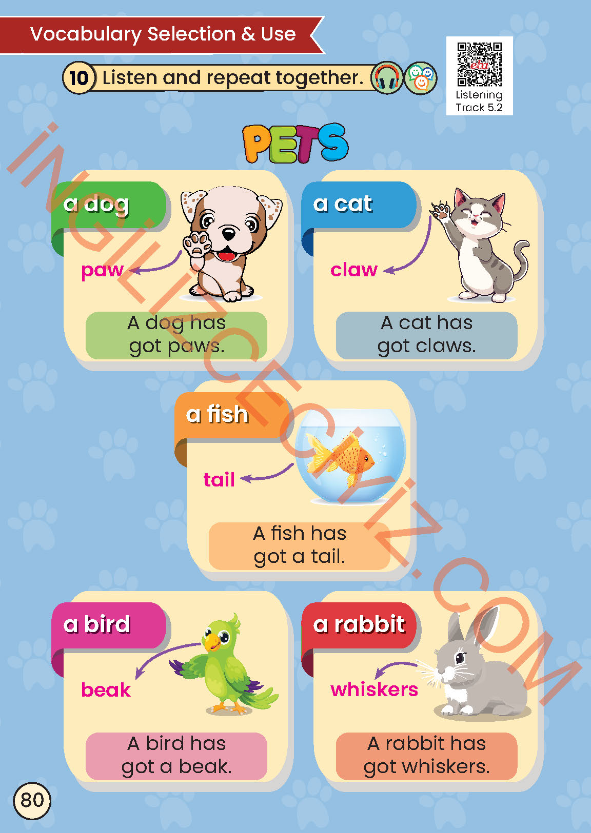 2. Sınıf İngilizce Meb Yayınları Kitabı Sayfa 80 Cevapları 2. Sınıf İngilizce Meb Yayınları Kitabı Sayfa 80 Cevapları