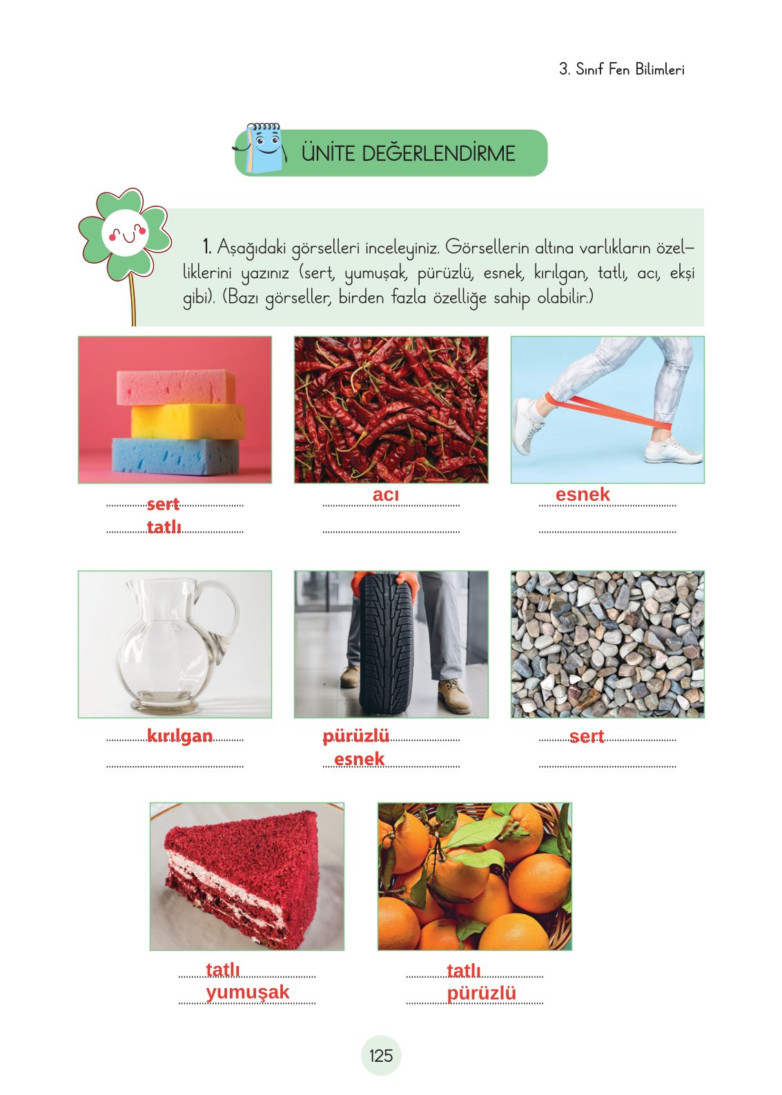 3. Sınıf Fen Bilimleri Cem Yayınları Ders Kitabı Sayfa 125 Cevapları