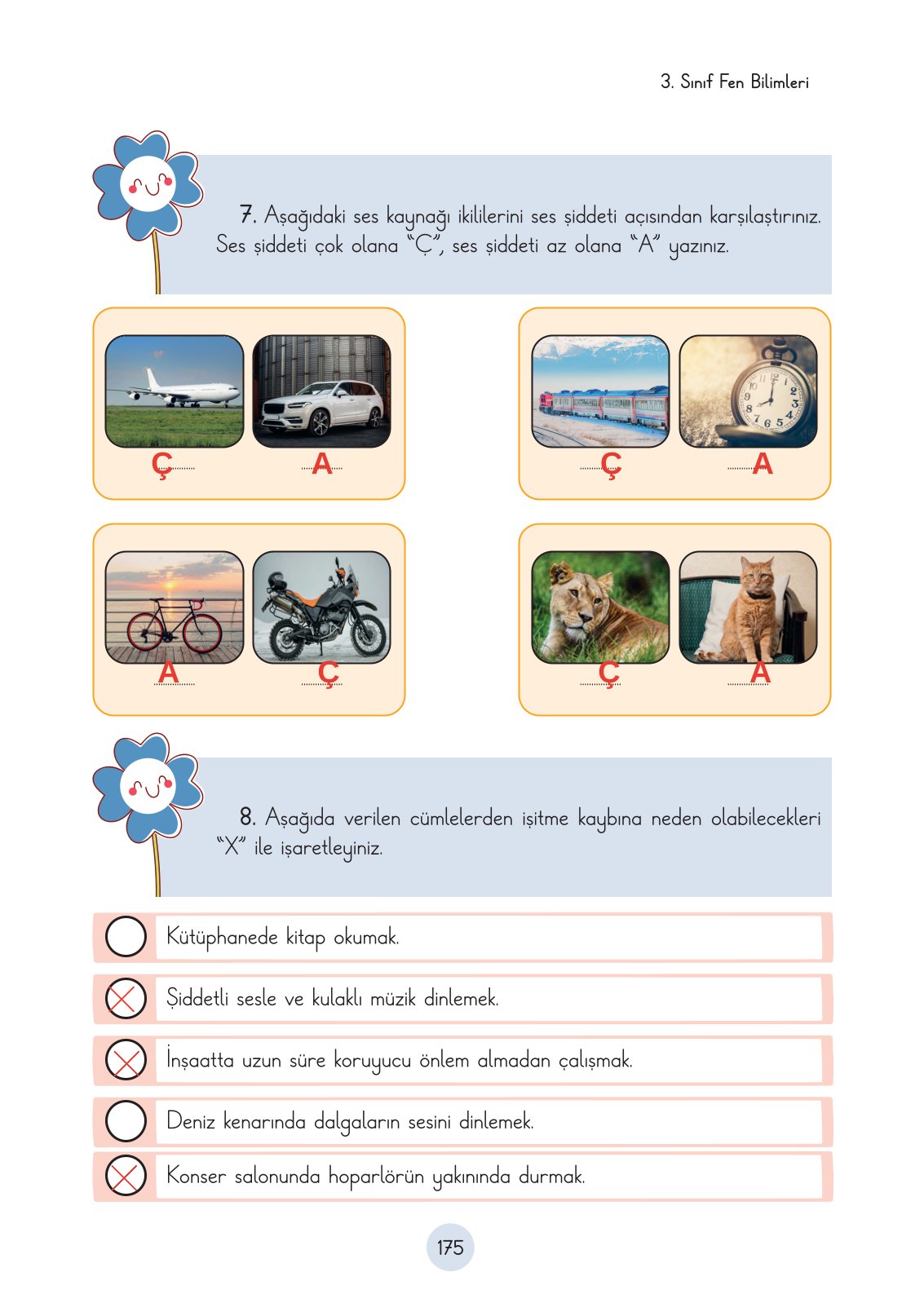 3. Sınıf Fen Bilimleri Cem Yayınları Ders Kitabı Sayfa 175 Cevapları